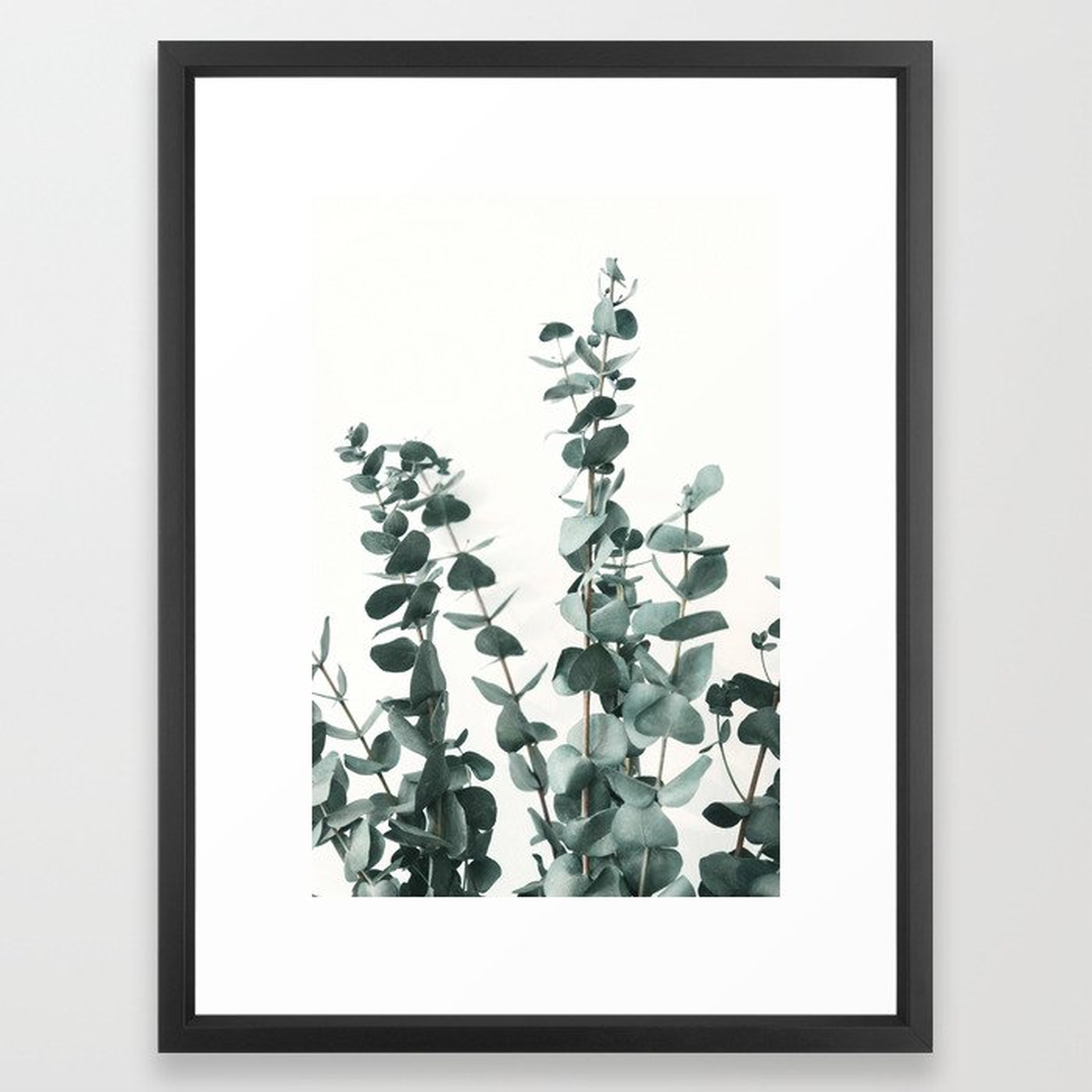 Eucalyptus Leaves Framed Art Print - Society6