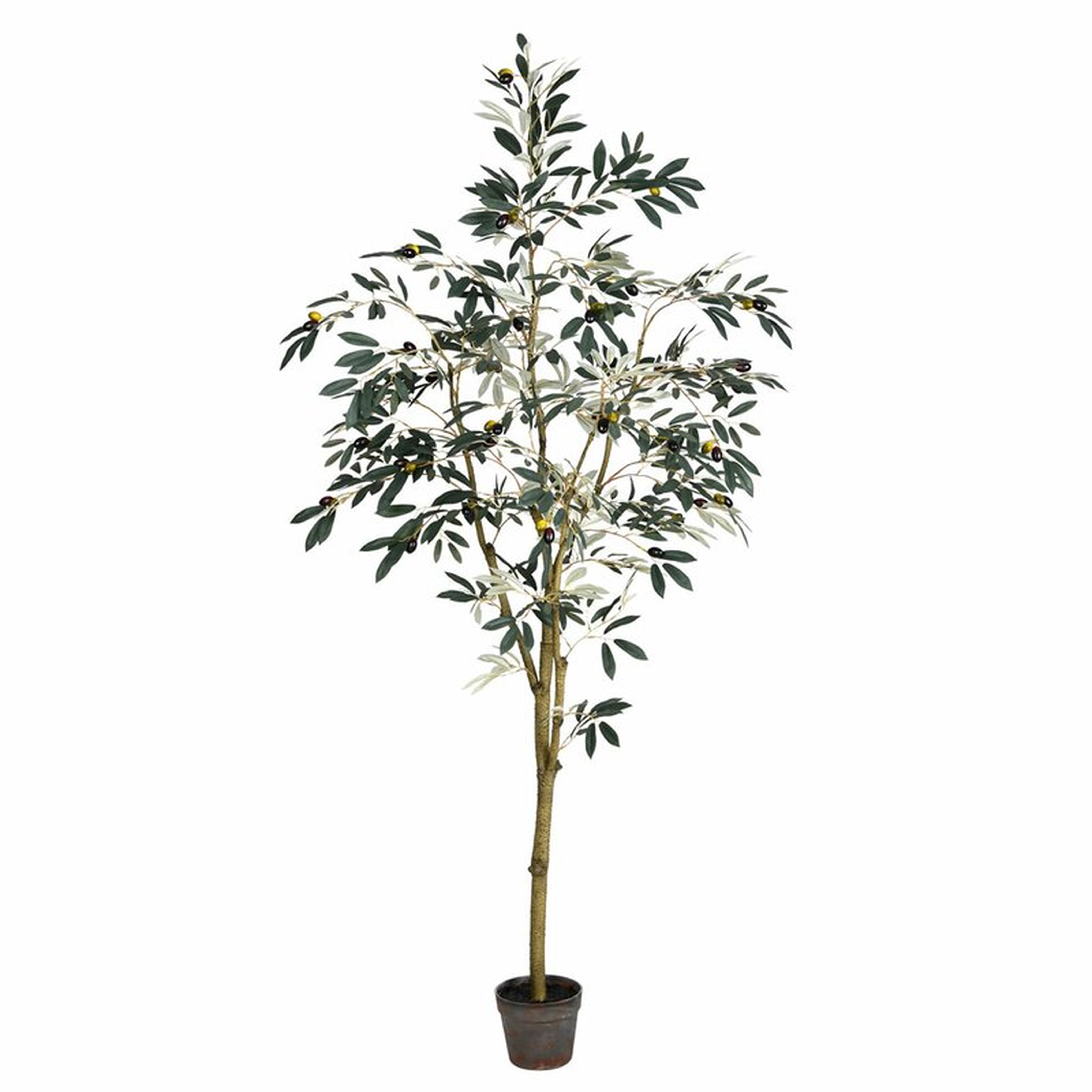 72" Artificial Potted Olive Floor Foliage Tree in Pot - Wayfair