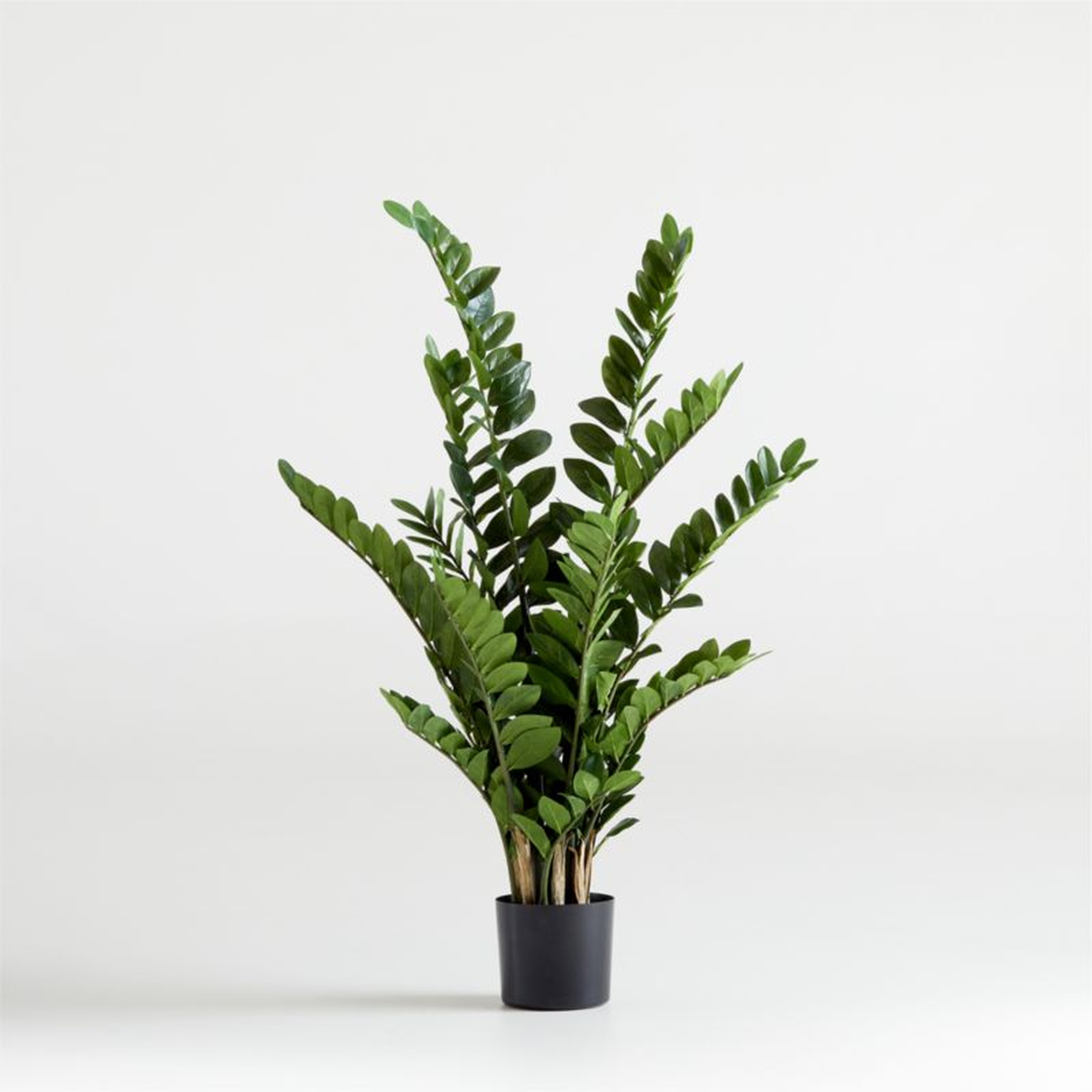 Faux Potted ZZ Plant - Crate and Barrel