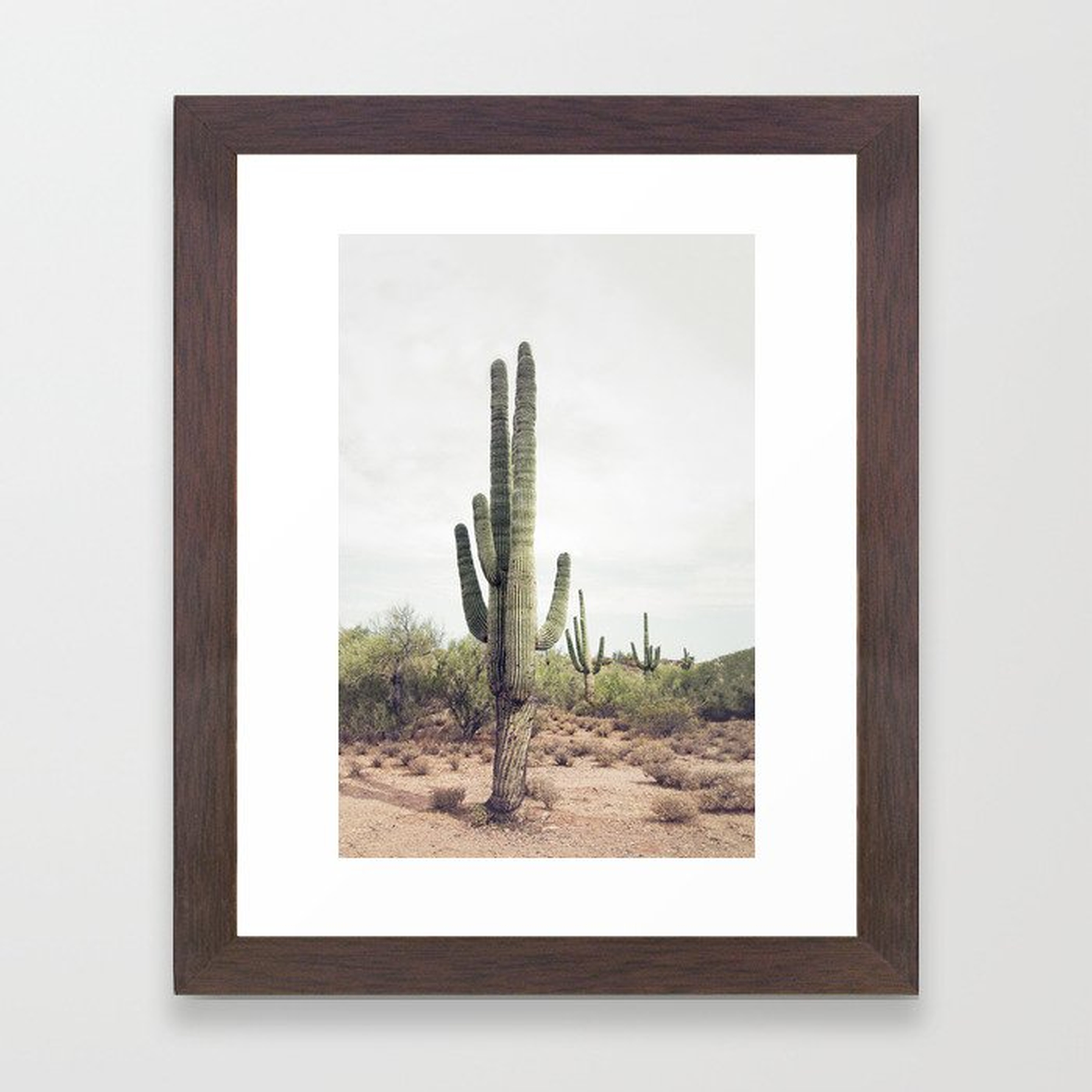 Desert Cactus Framed Art Print - Society6