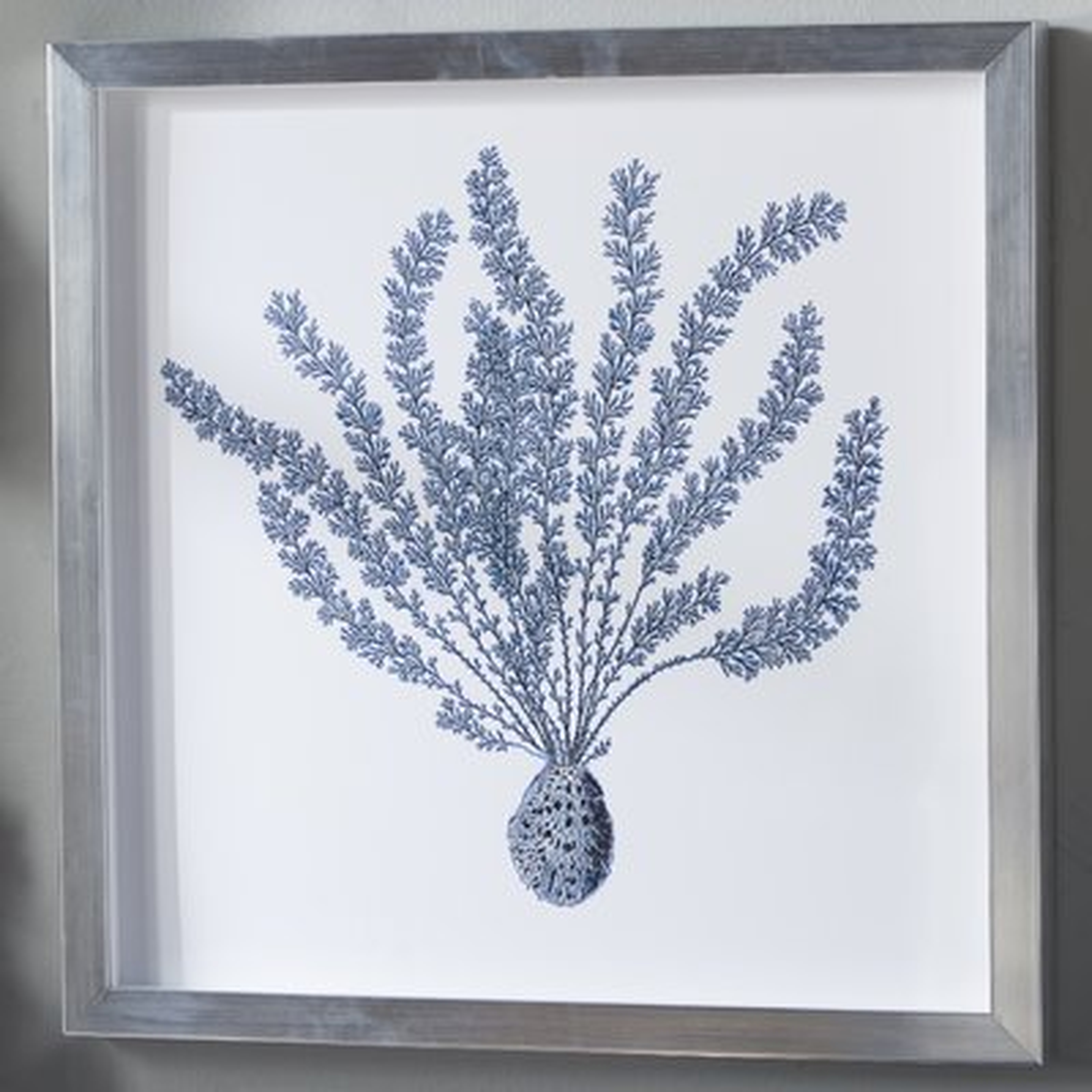 'Indigo Coral II' Picture Frame Graphic Art - Birch Lane