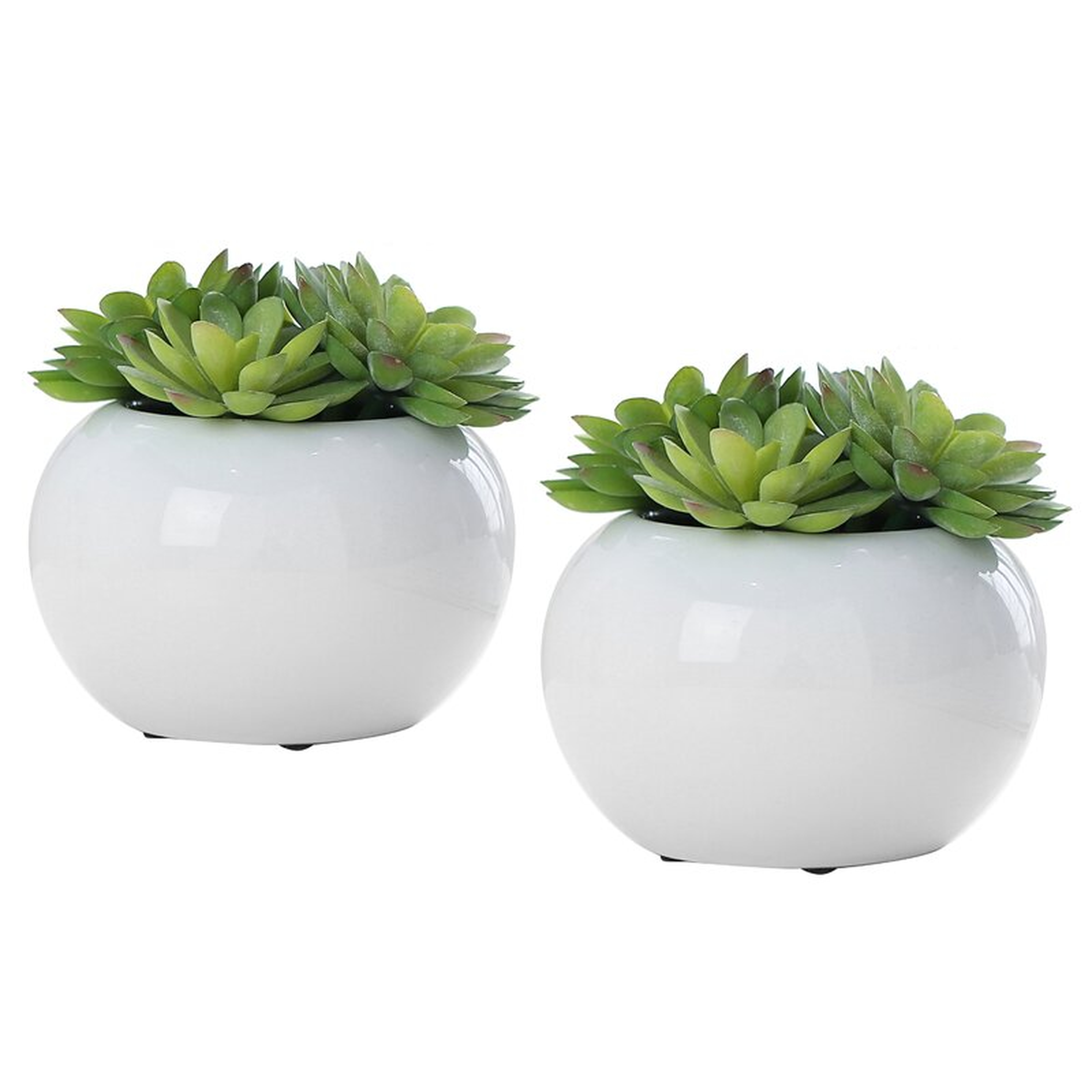 1" Artificial Succulent in Pot (Set of 2) - Wayfair