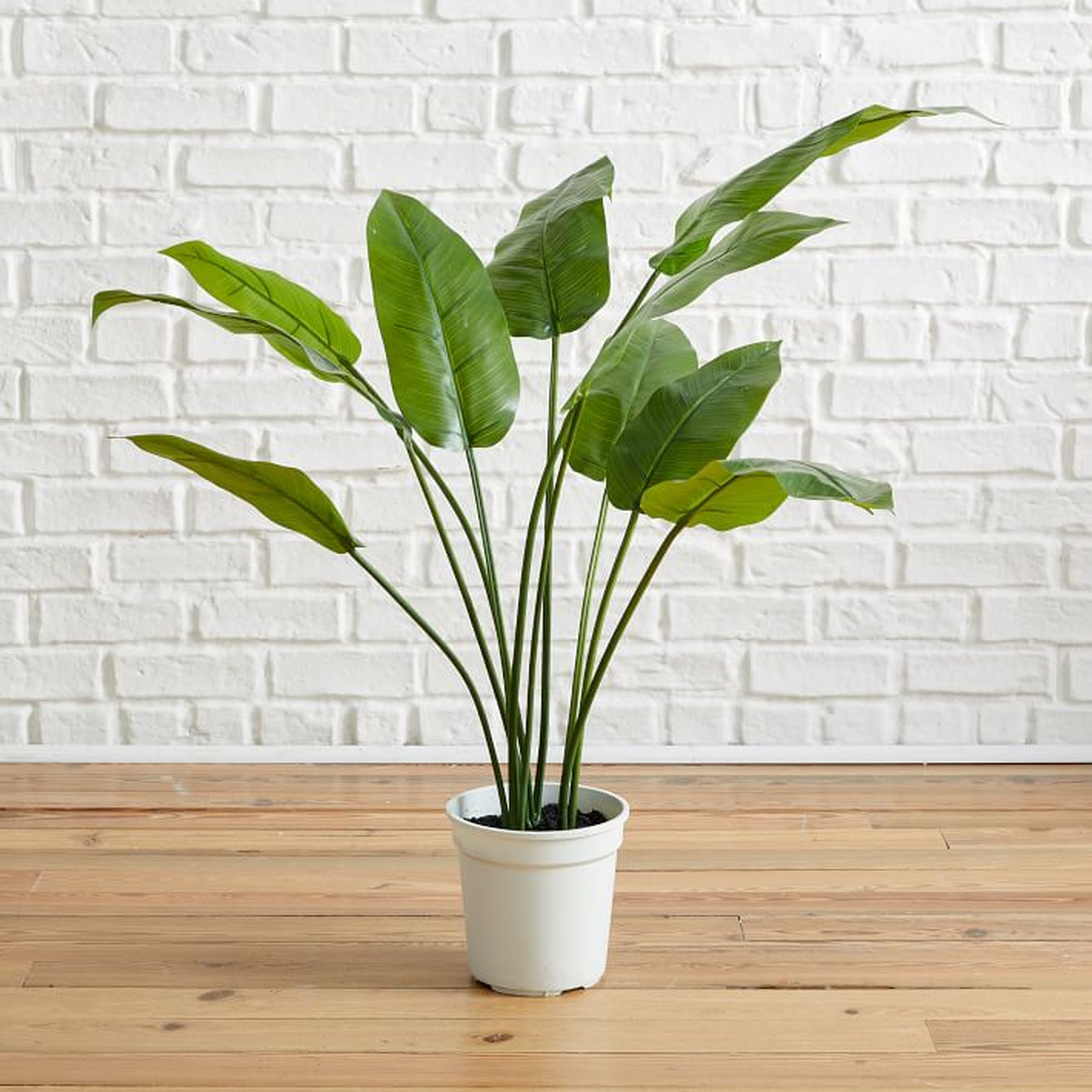 Faux Potted Bird of Paradise Plant Tree - West Elm