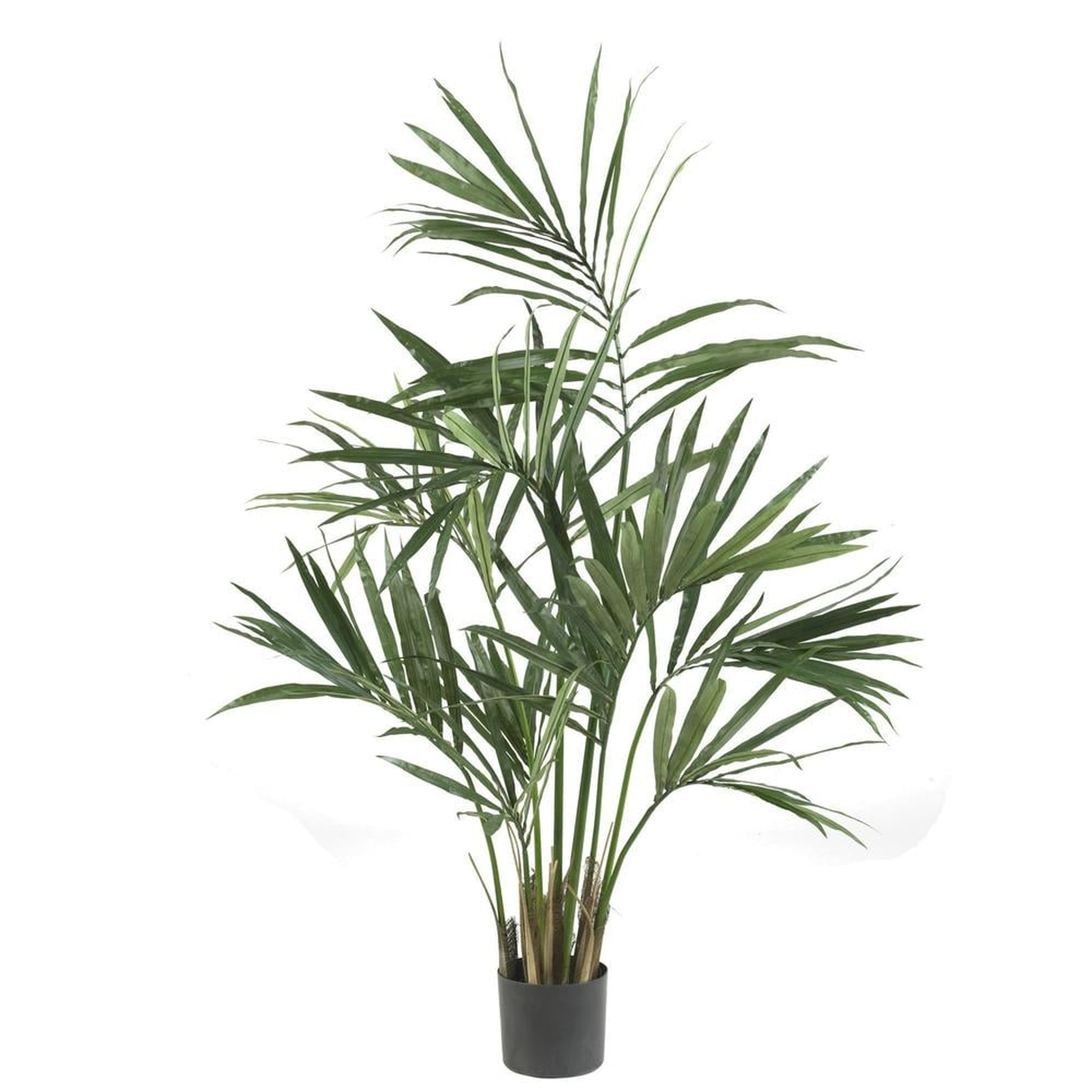 Faux Kentia Palm Silk Tree, 5' - Fiddle + Bloom