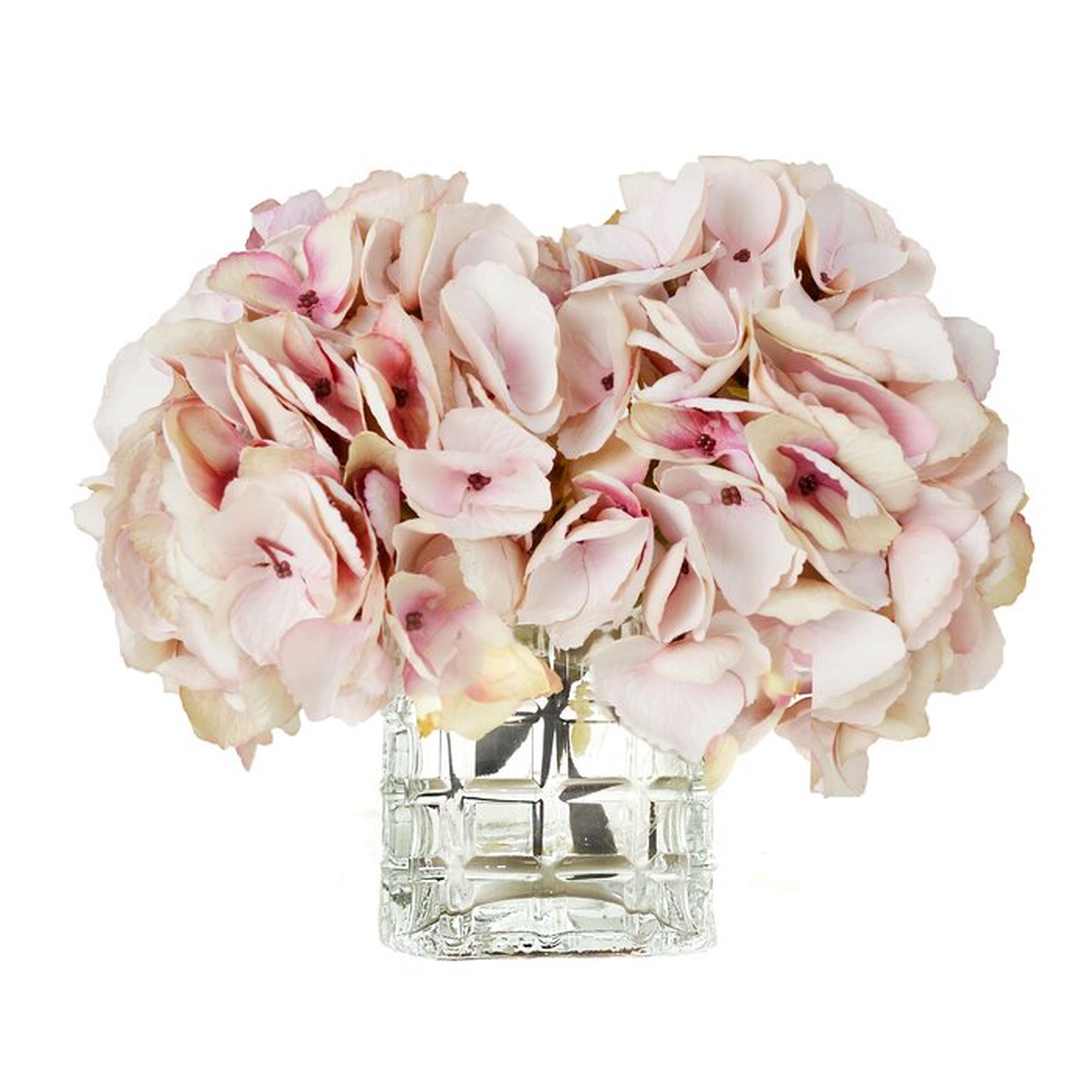 Soft Hydrangea Floral Arrangement in Vase - Birch Lane