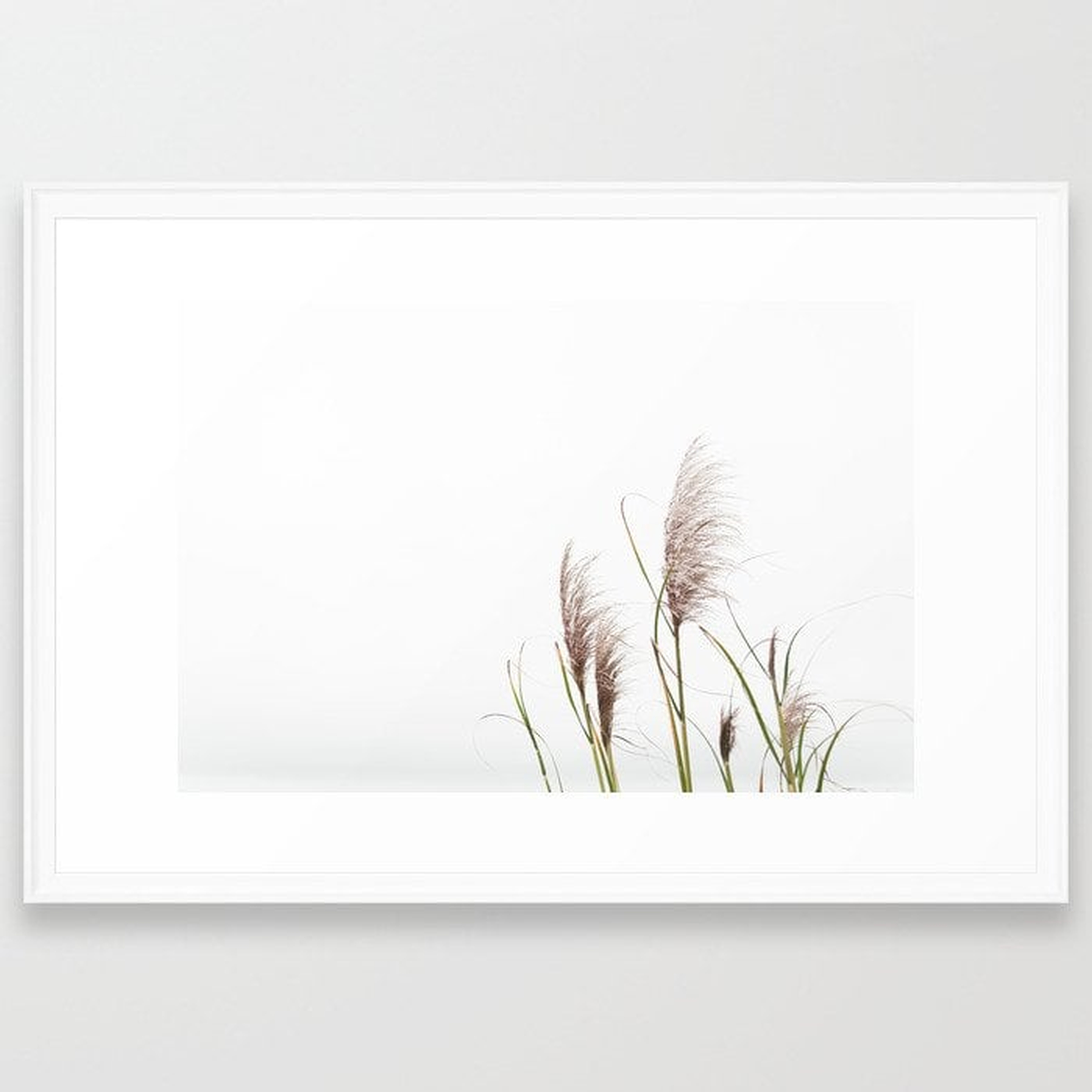 Pampas Grass Framed Art Print, 38" x 26" - Society6