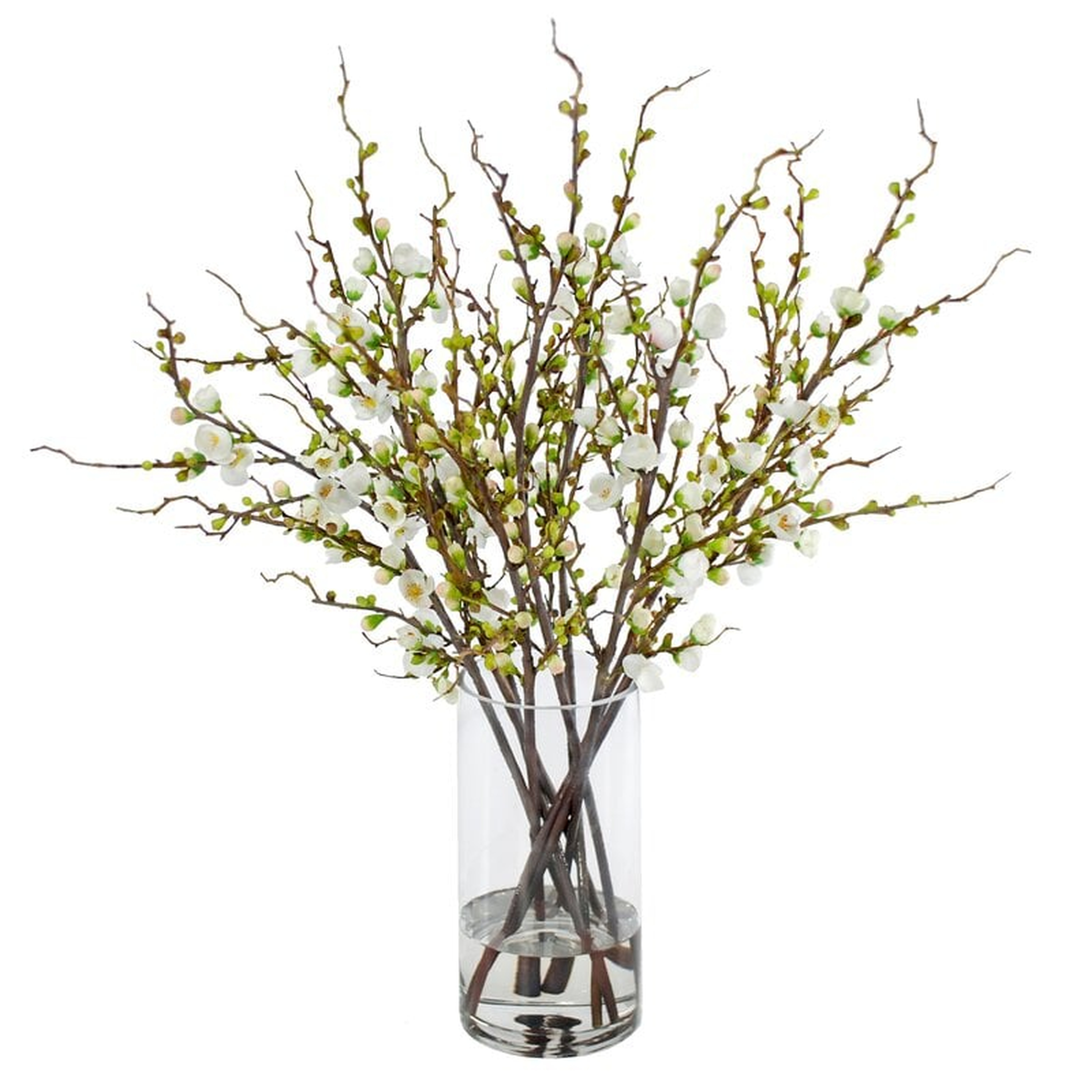 Peach Blossom Branches Floral Arrangement in Glass Cylinder Vase - Wayfair