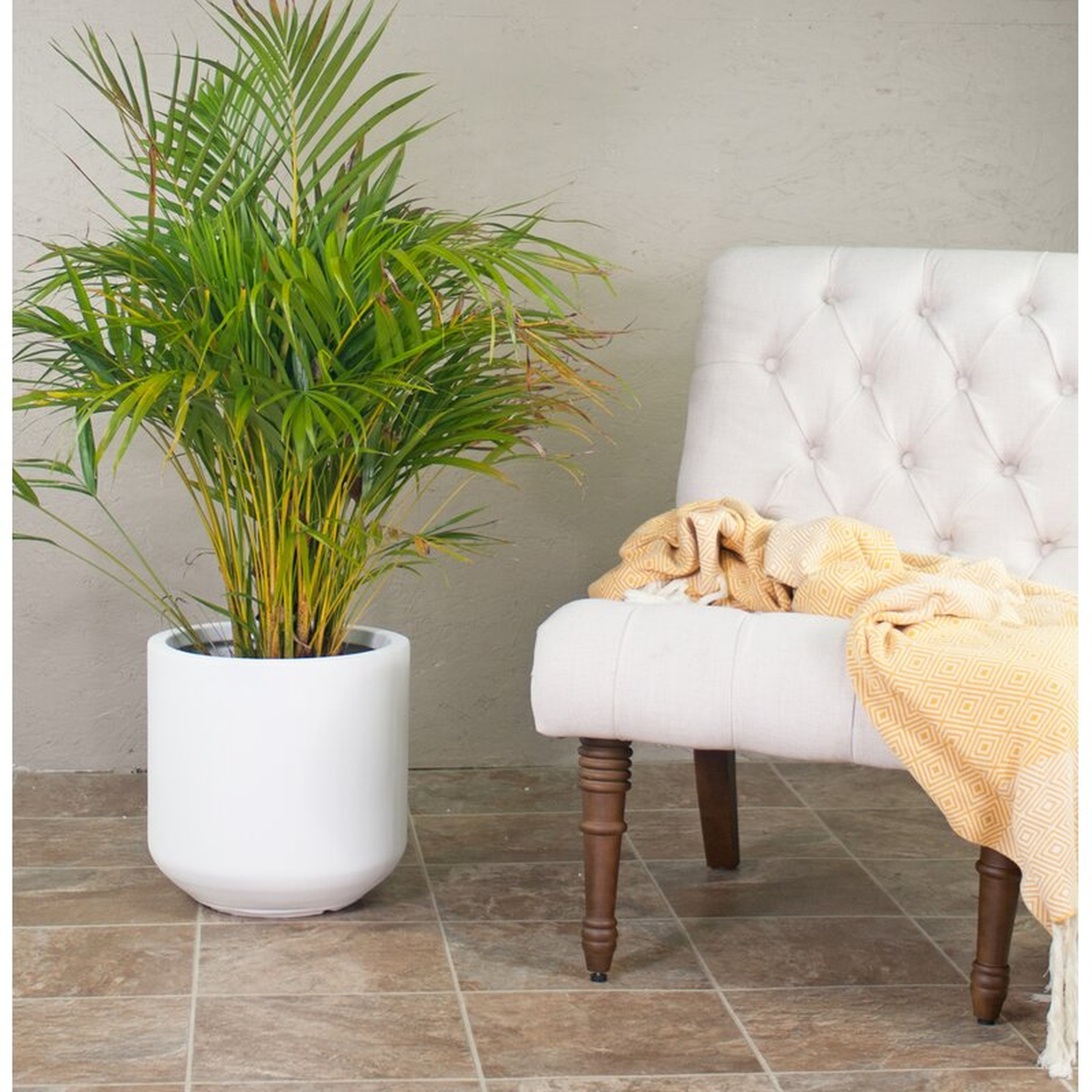 Metz Clay Pot Planter - AllModern