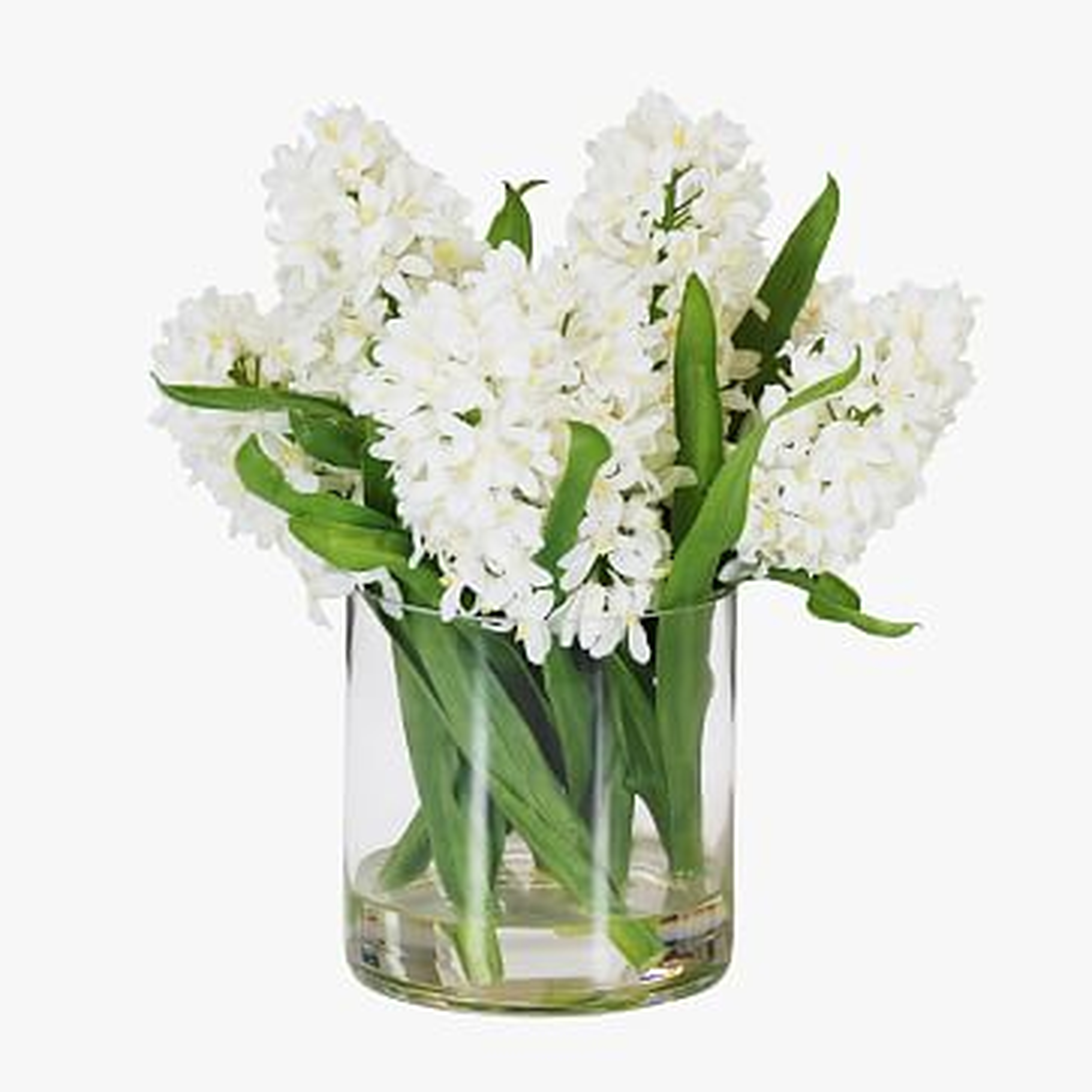 Faux Hyacinth in Cylinder Vase, White - West Elm