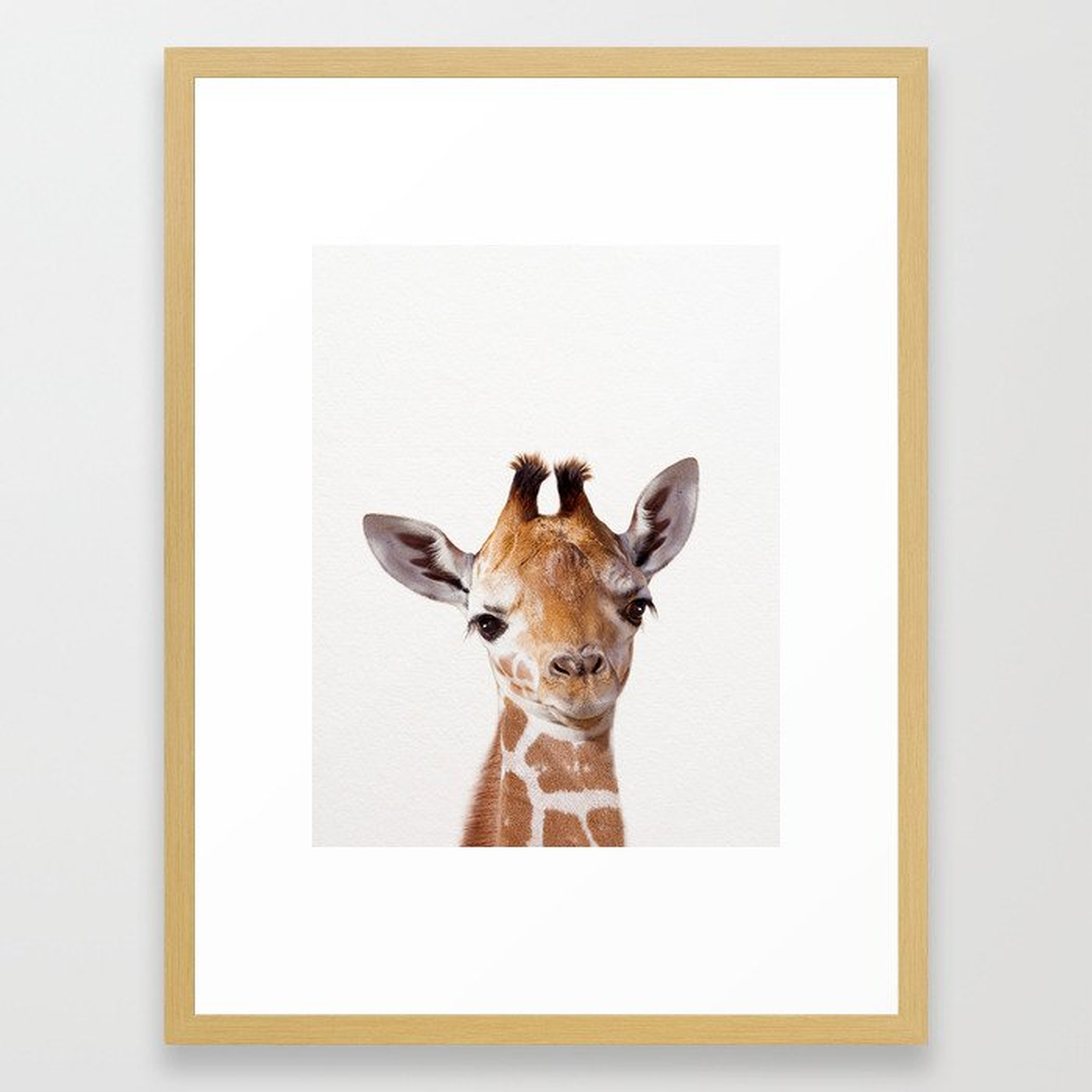 Baby Giraffe, Baby Animal Art Prints By Synplus Framed Art Print - Society6