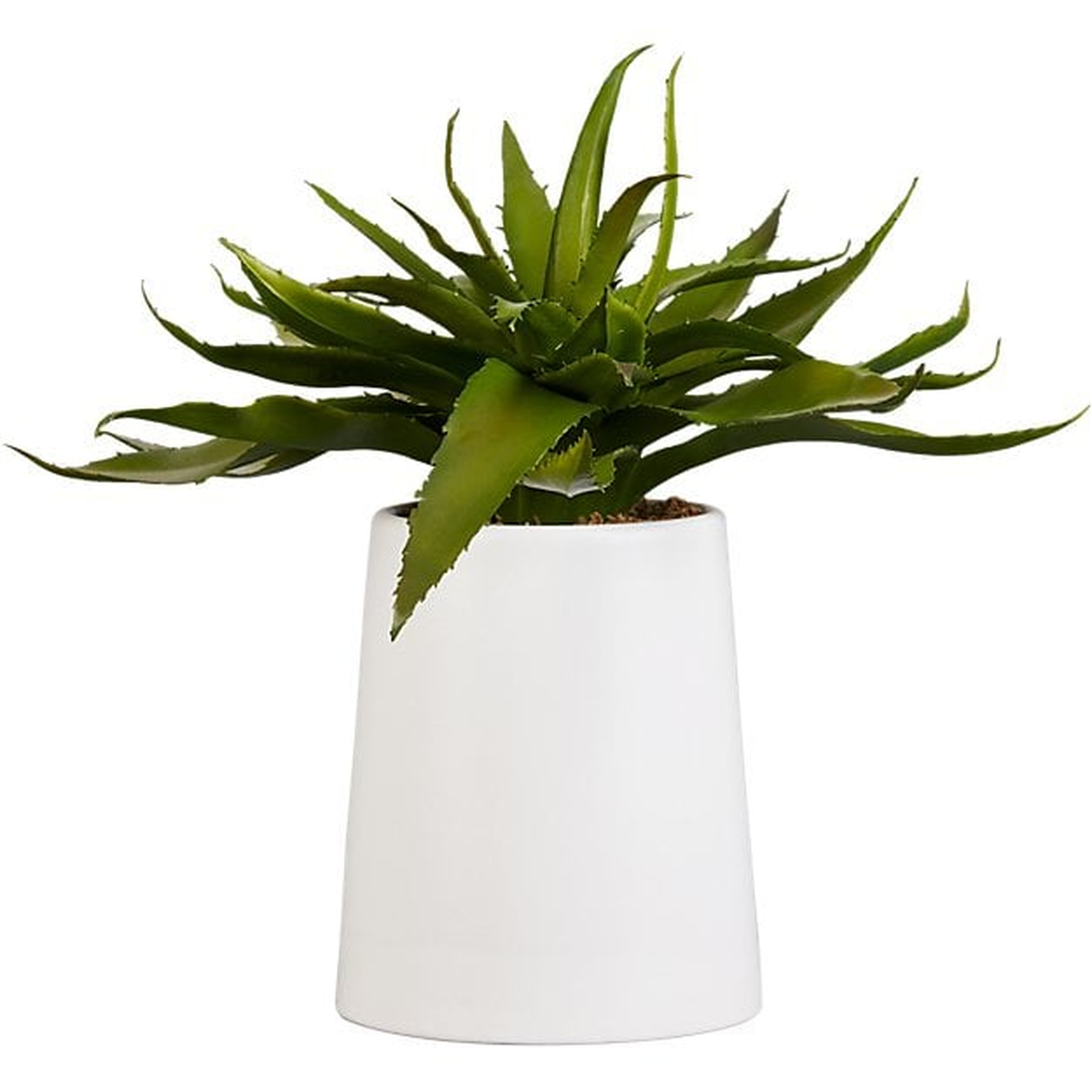 POTTED FAUX ALOE 9" - CB2