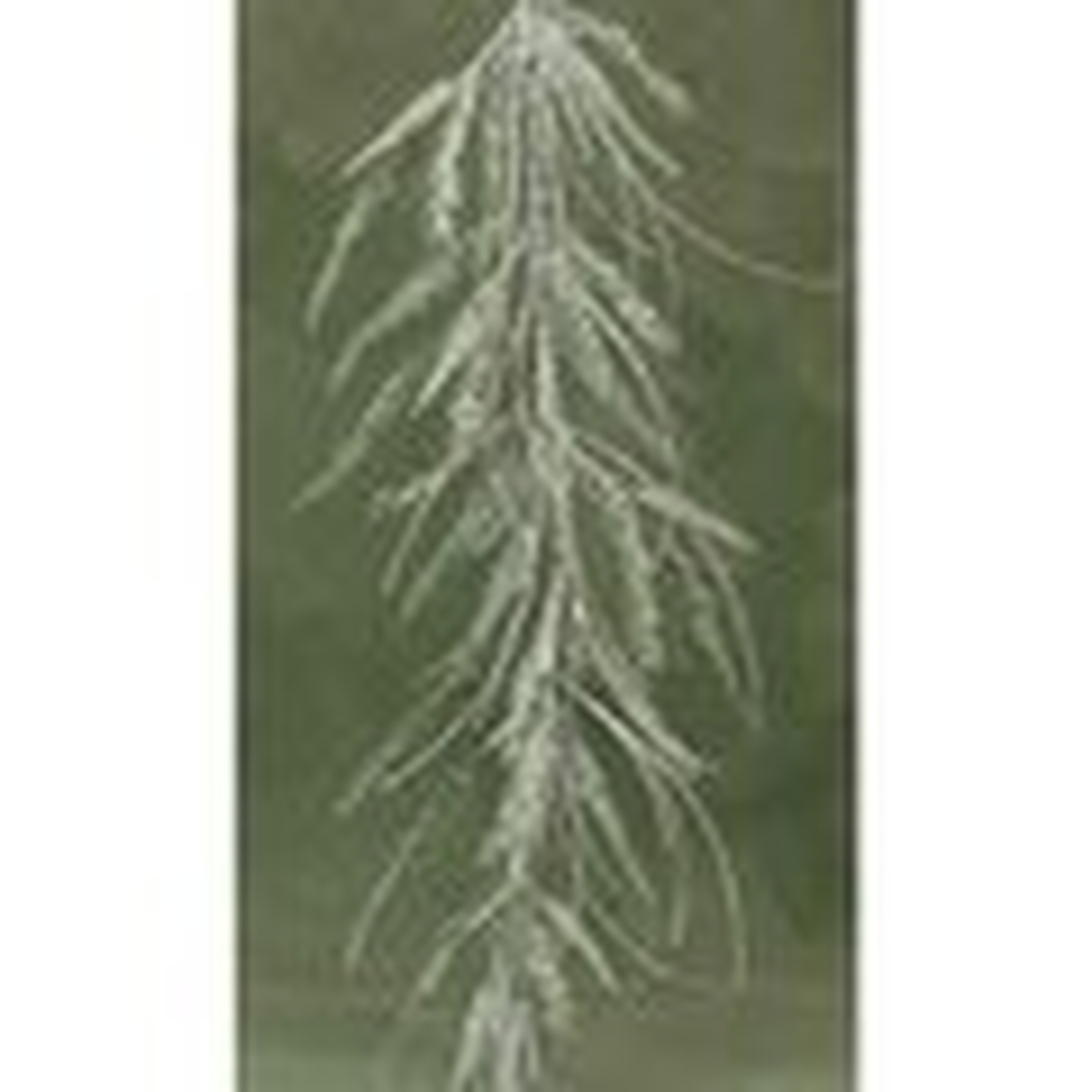 4' Sparkle Pine and Birch Garland - Wayfair