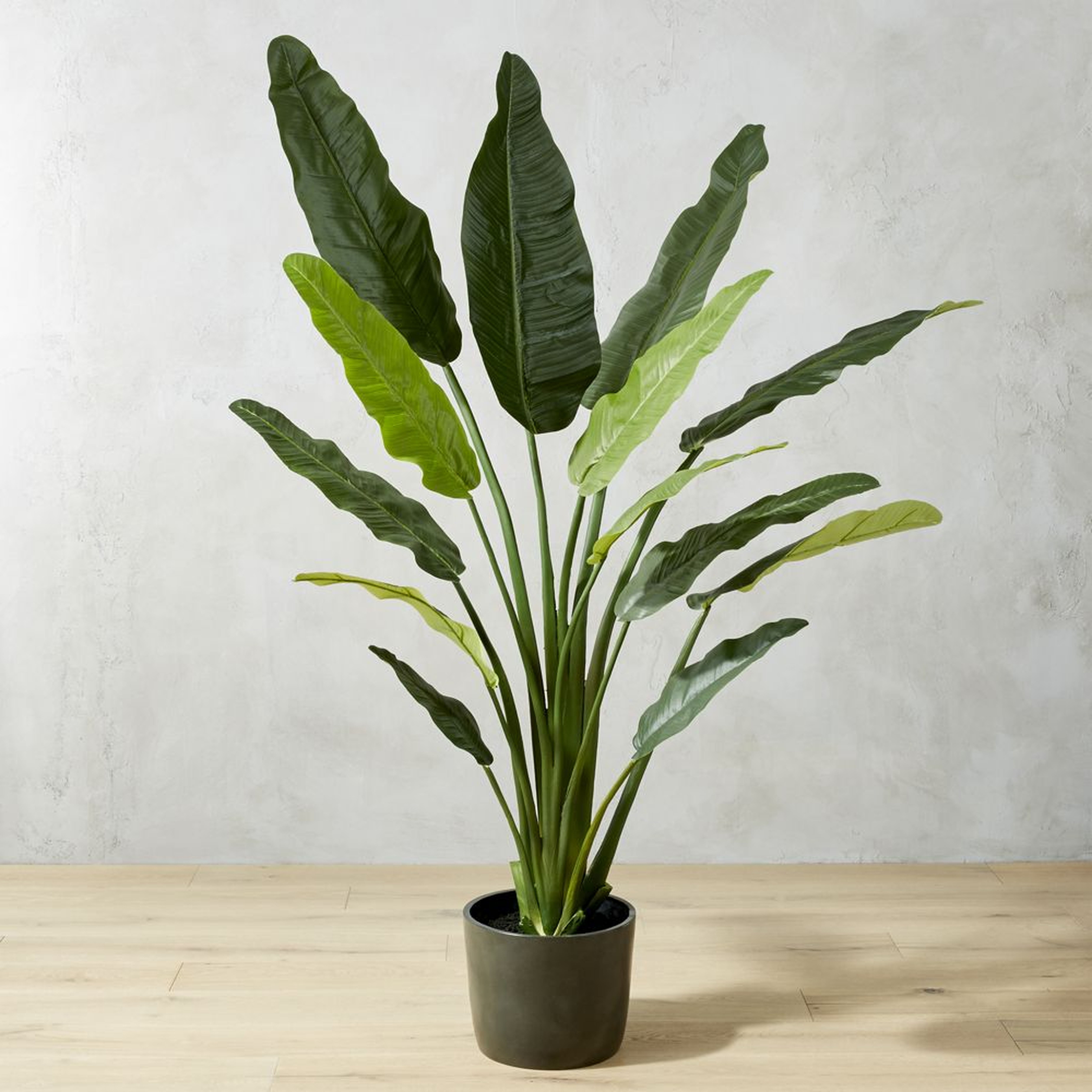 POTTED FAUX BIRD OF PARADISE 6' - CB2