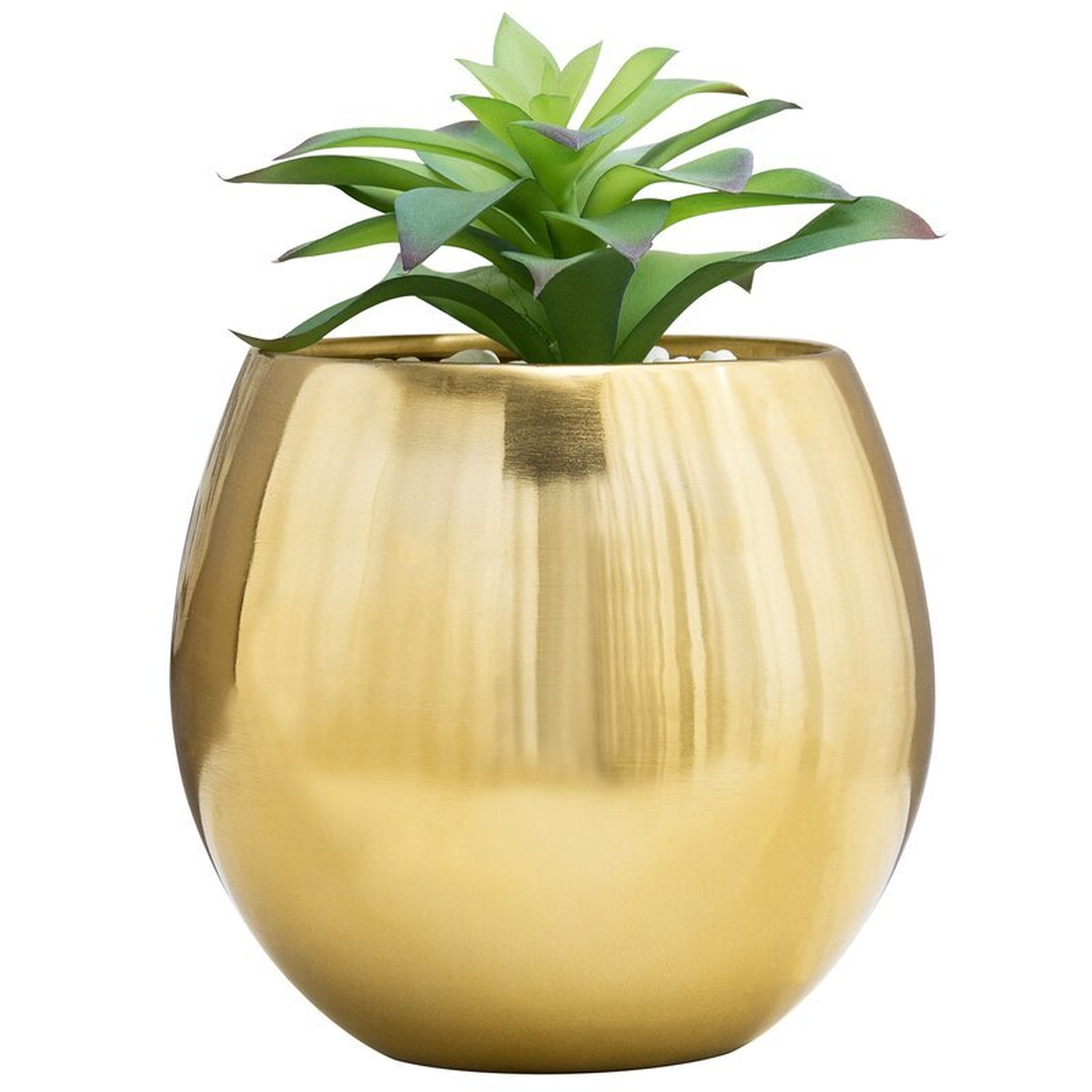 6-Inch Bowl-Shaped Succulent Planter Vase - Wayfair