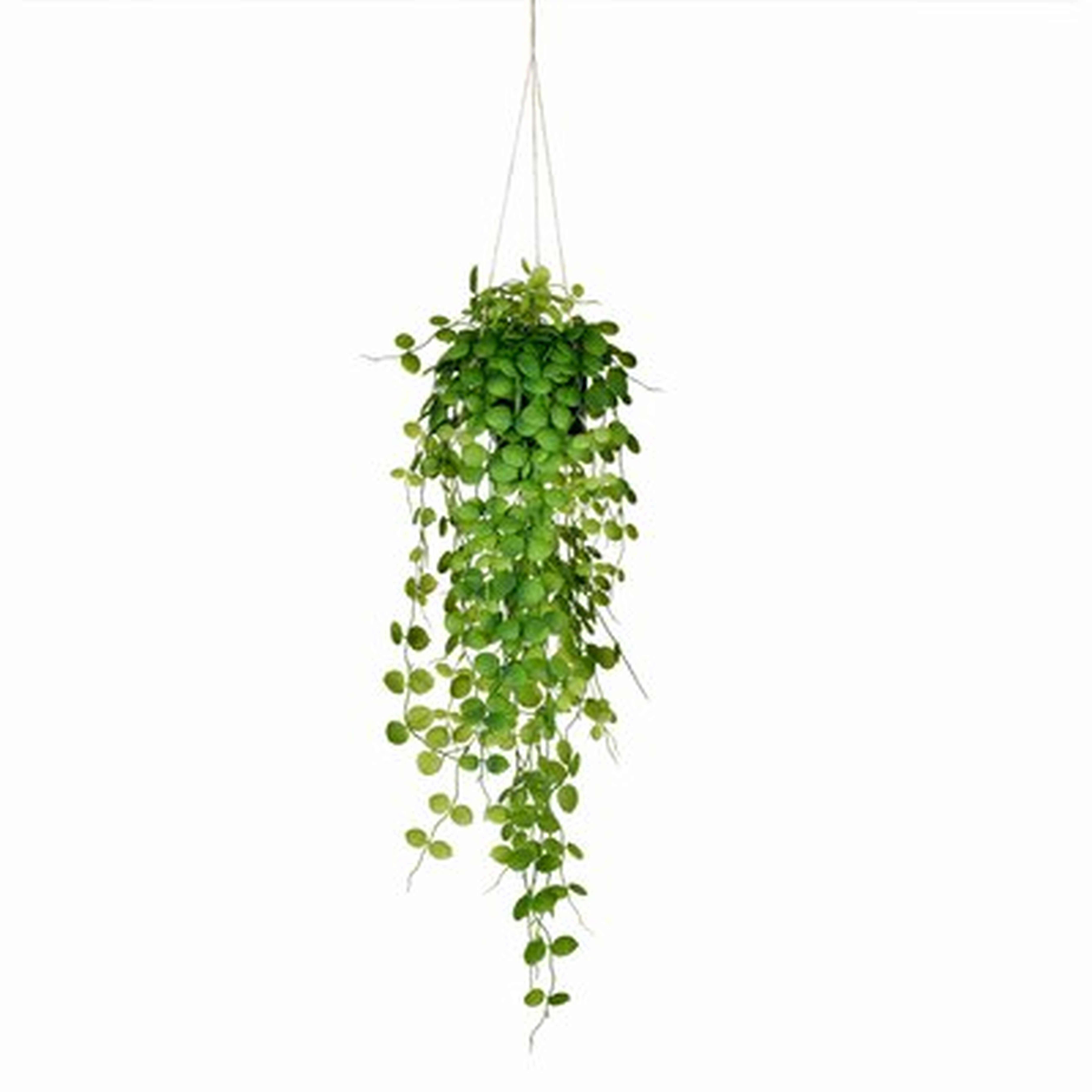 Artificial Ivy Plant - Wayfair
