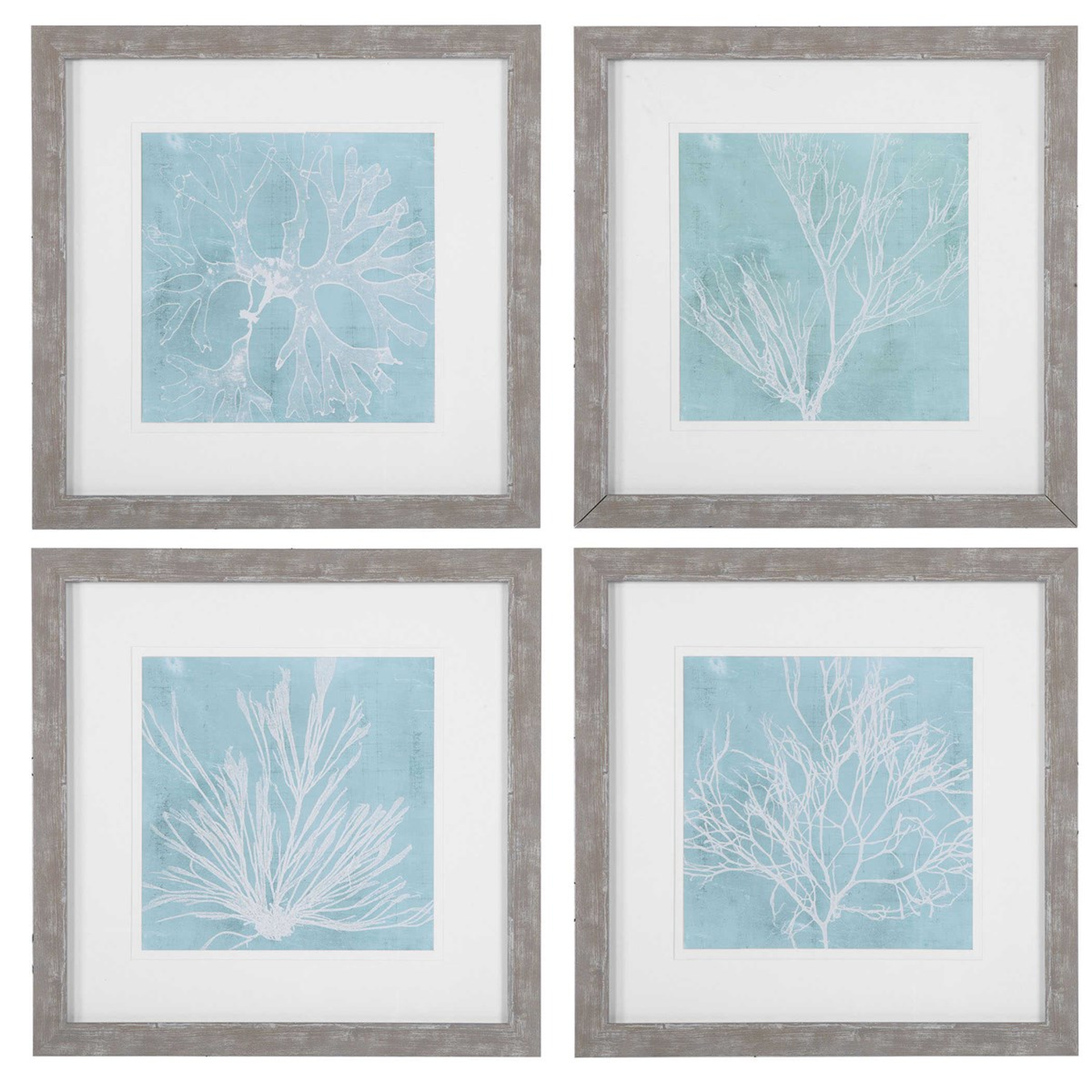 Seaweed On Aqua Framed Prints S/4 - Hudsonhill Foundry