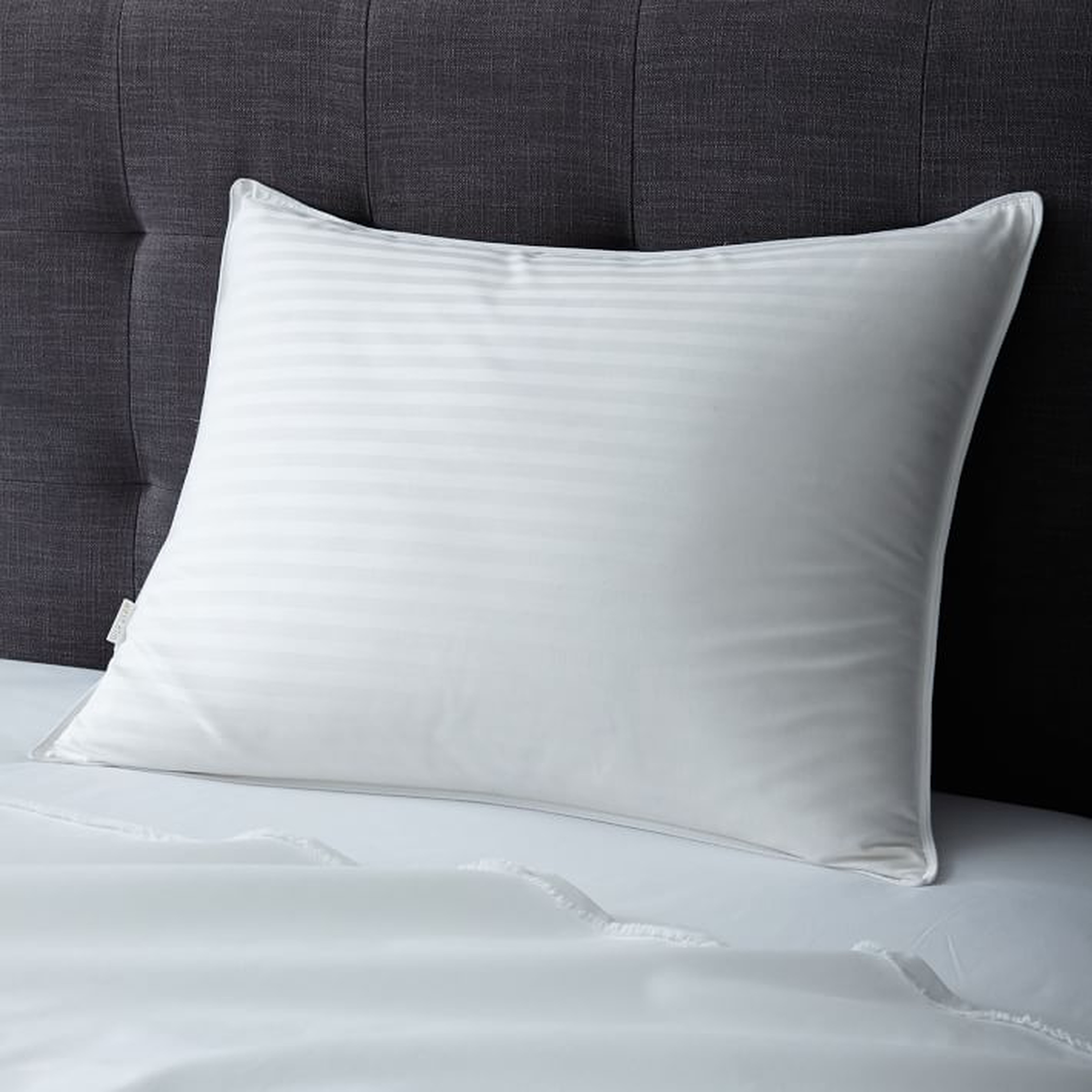 Premium White Down Pillow Insert, Standard - West Elm