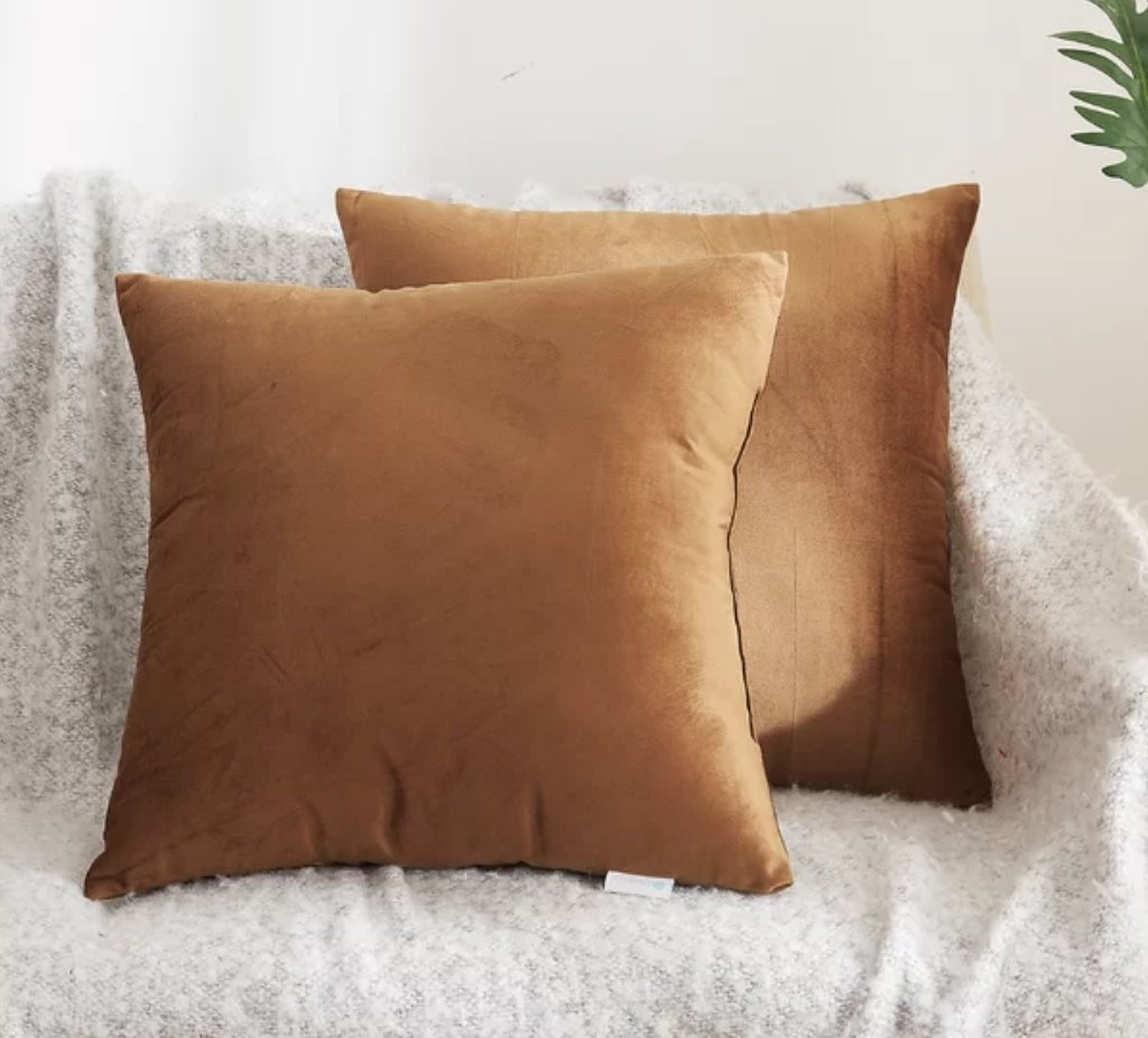 Dalessandro Soft Decorative Velvet Throw Pillow (Set of 2) - Wayfair
