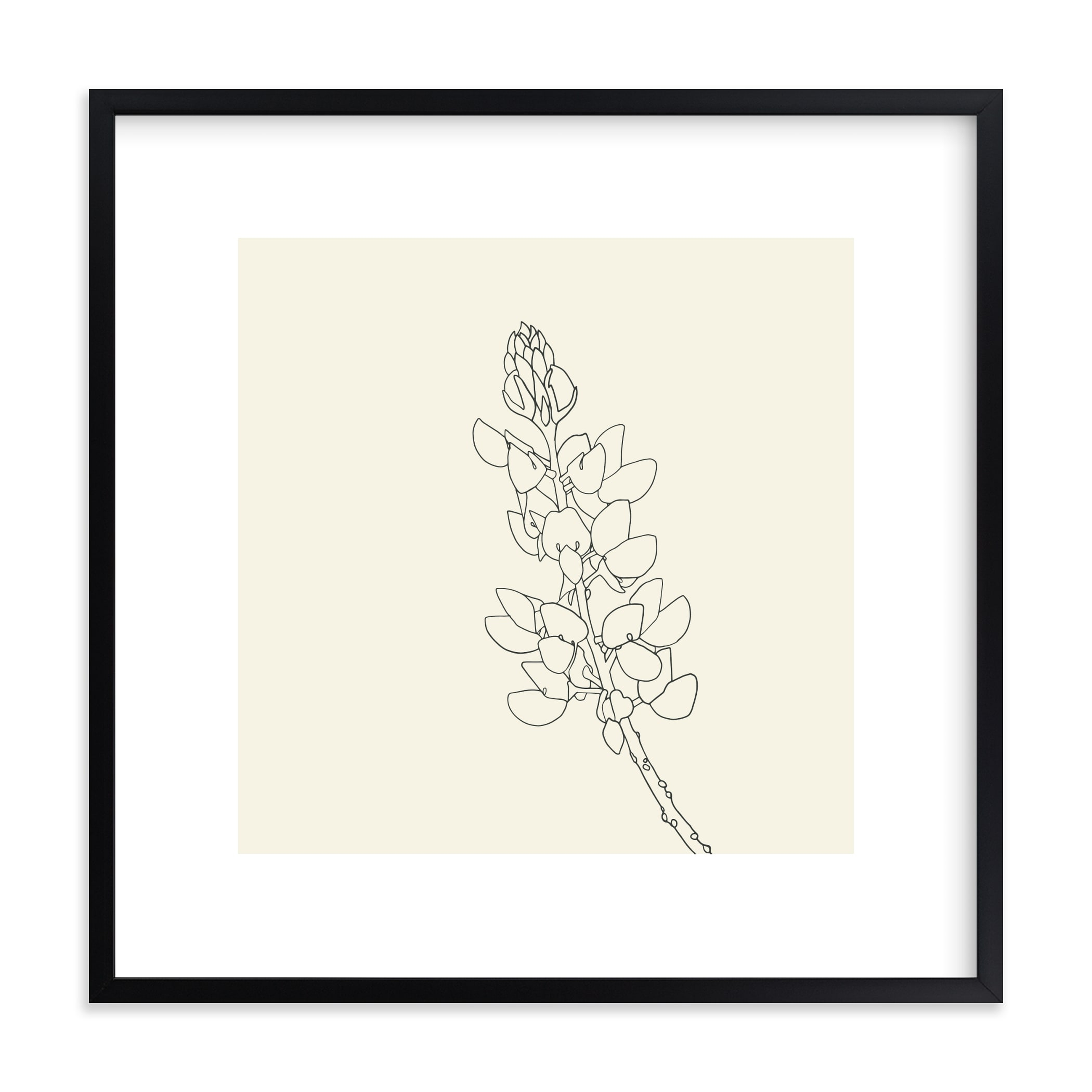 Lupine Limited Edition Fine Art Print - Minted