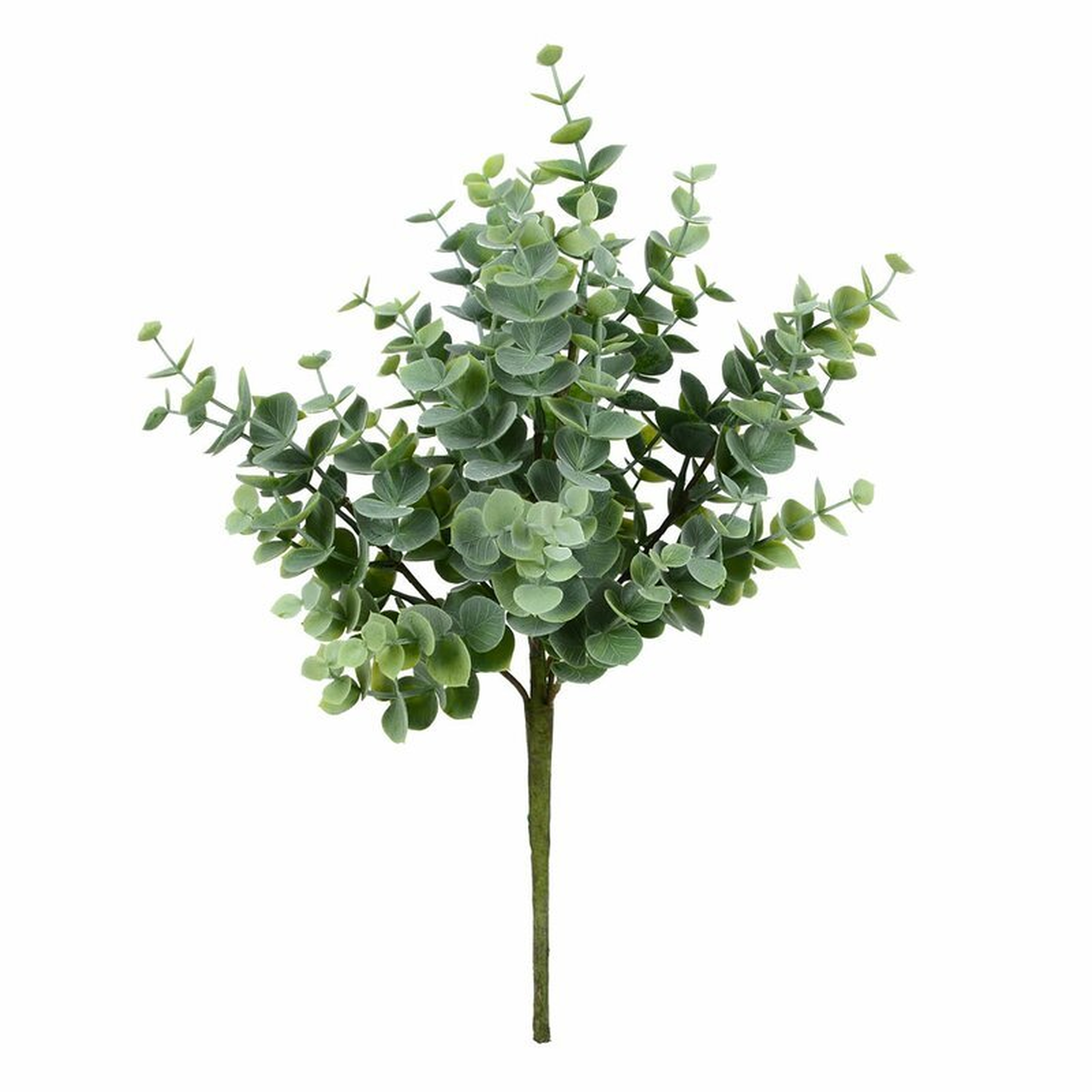Solley Jade Leaf Bush (Set of 4) - Wayfair