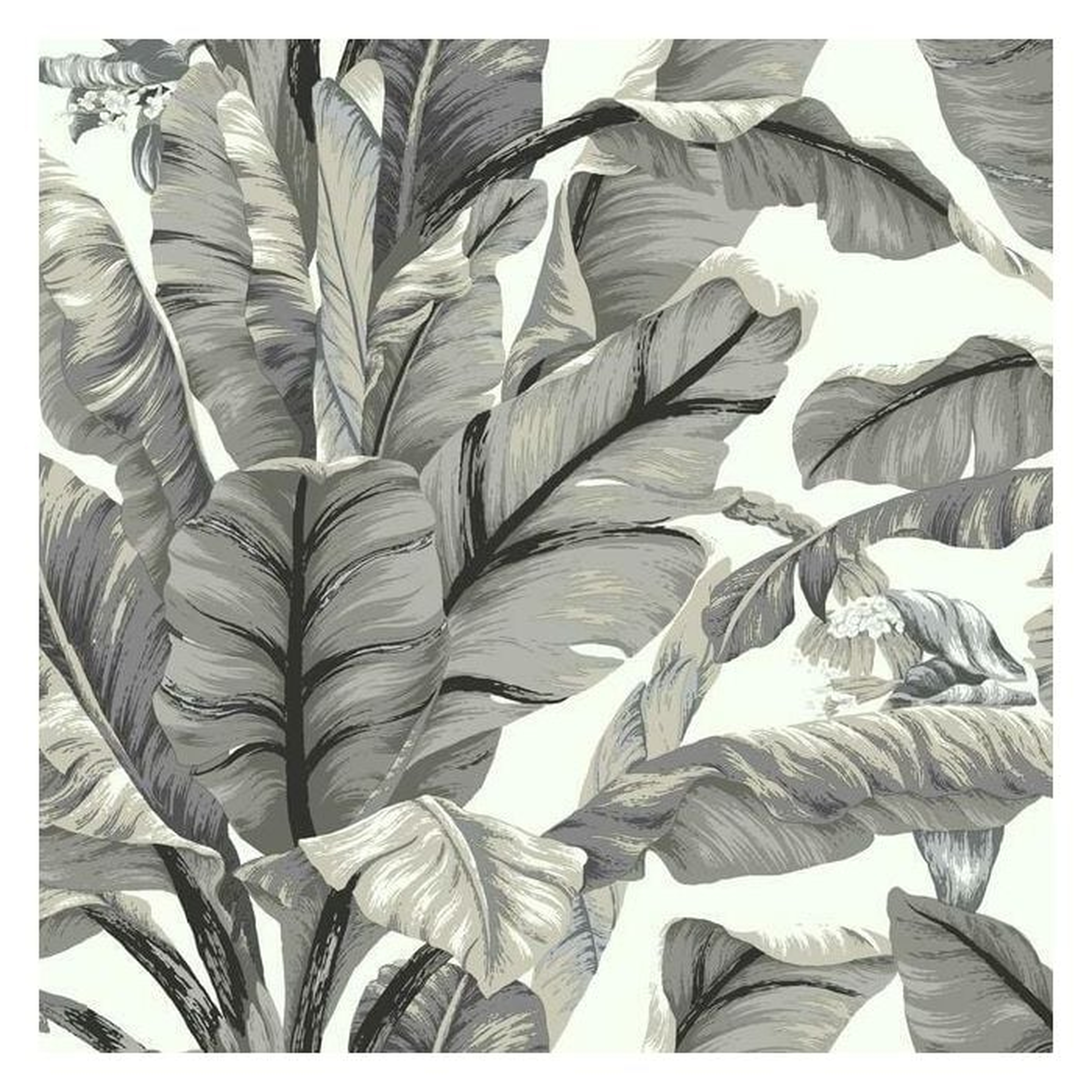 Banana Leaf Premium Peel and Stick Wallpaper - York Wallcoverings