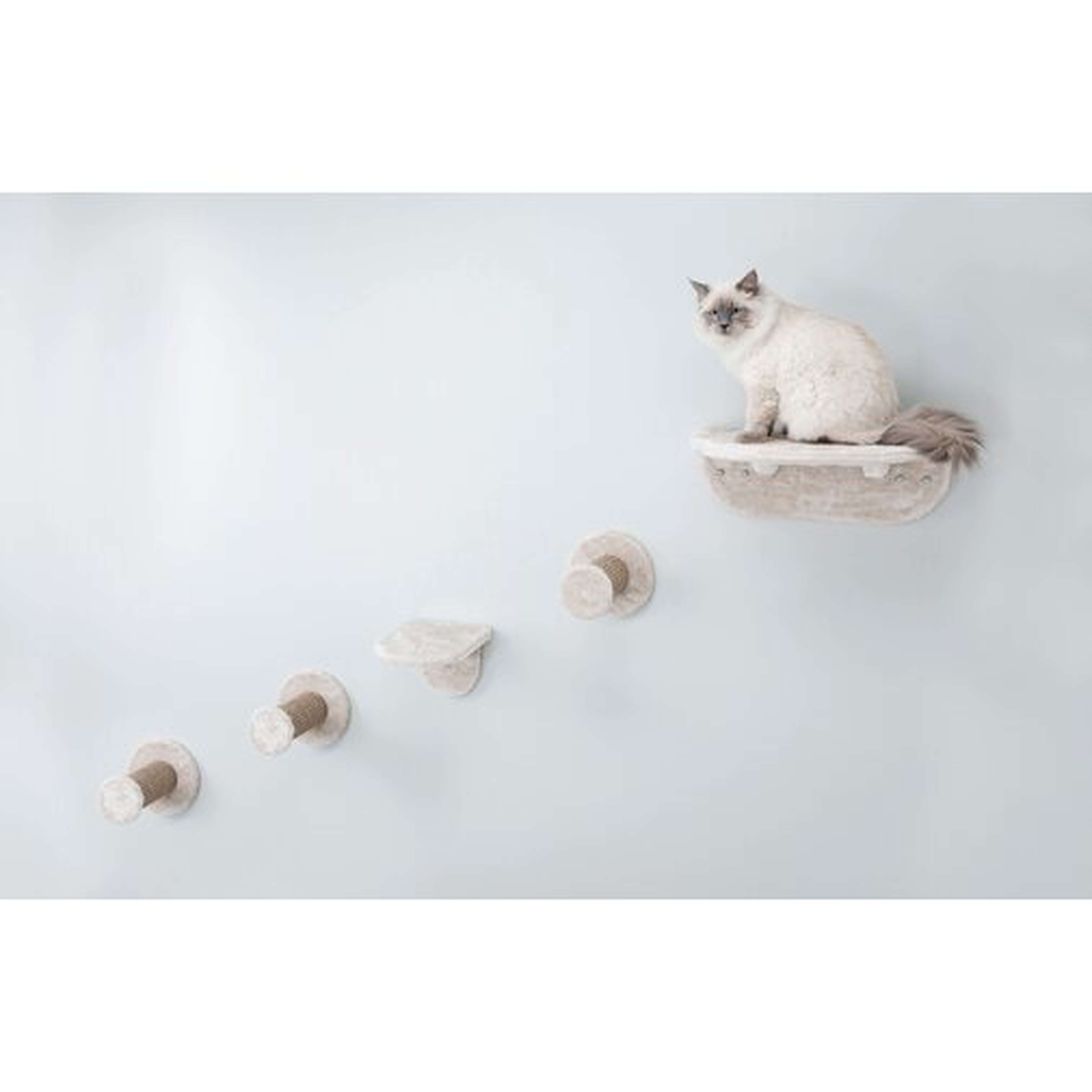 Hallam Wall Mount Cat Playground Cat Perch - Wayfair