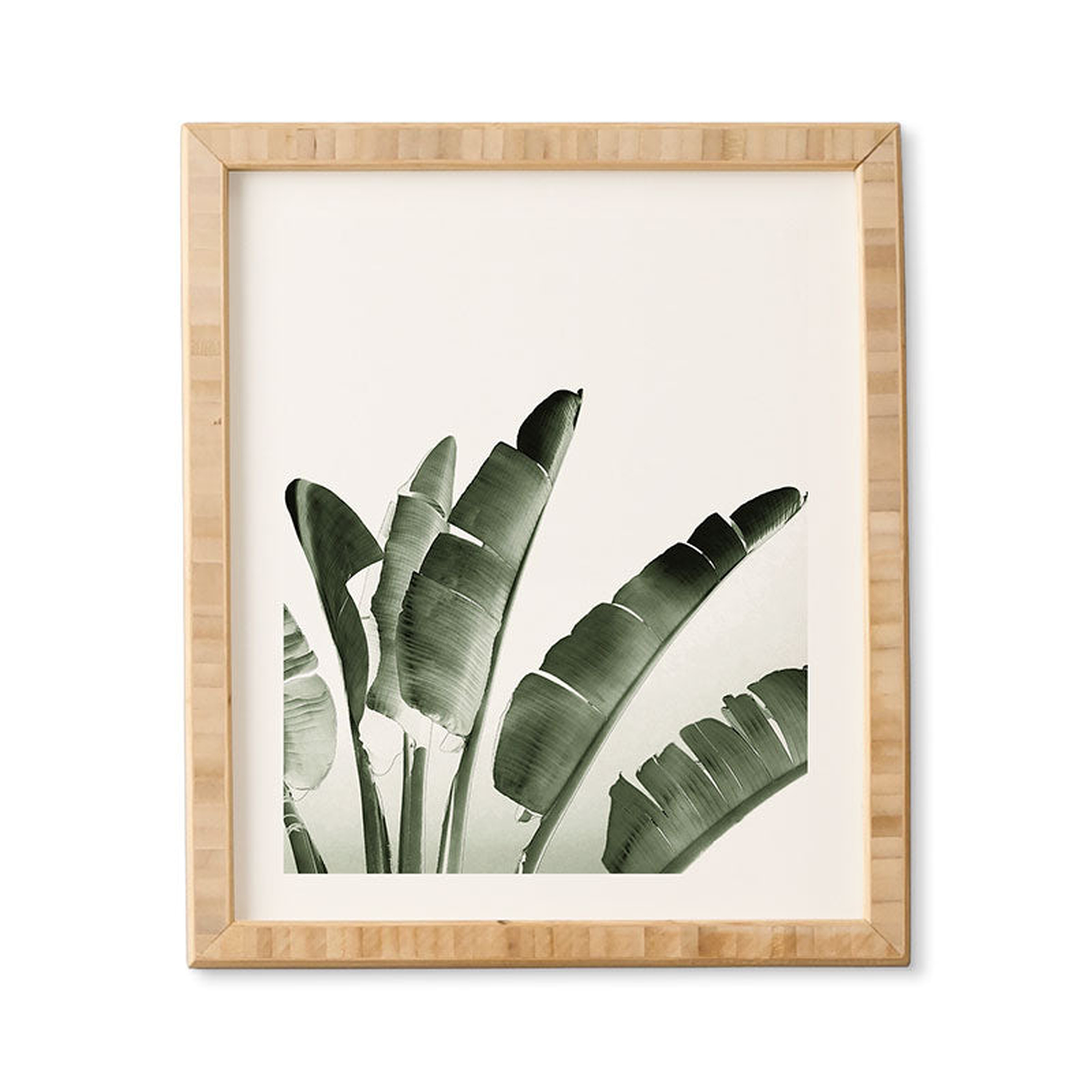 Traveler Palm by Gale Switzer - Framed Wall Art Bamboo 11" x 13" - Wander Print Co.