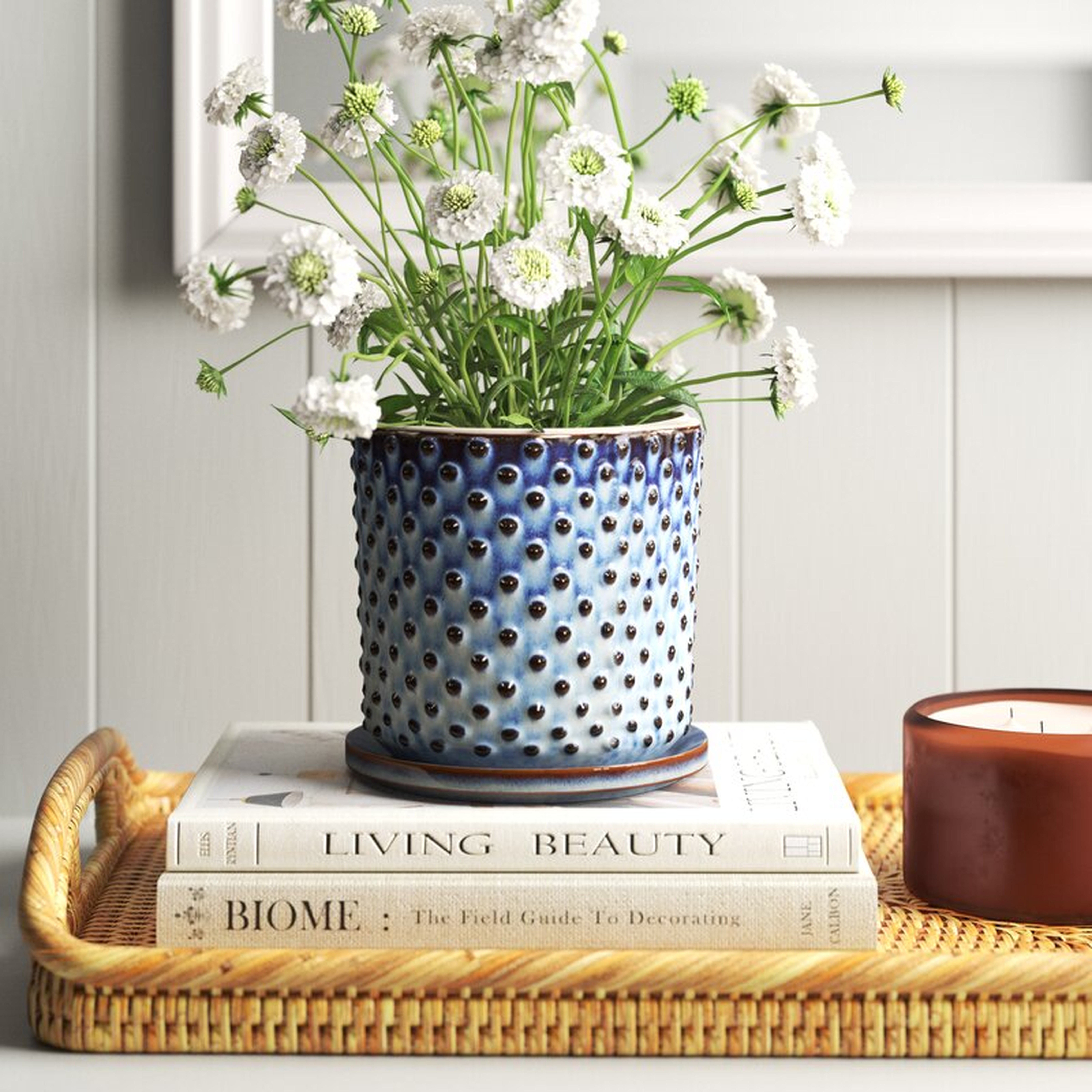 Shalisa Ceramic Pot Planter - Wayfair