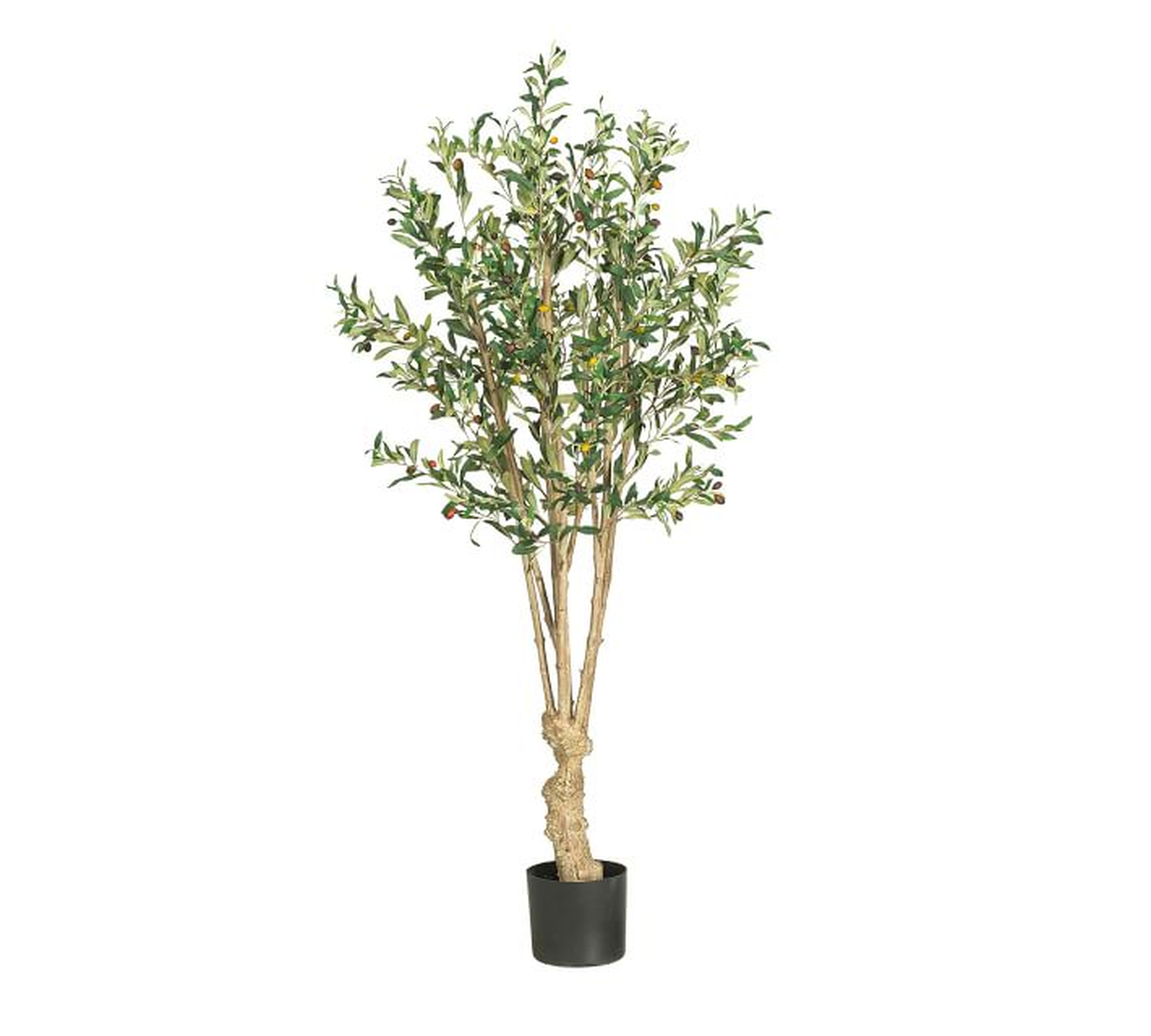 Faux Olive Tree, 5' - Pottery Barn