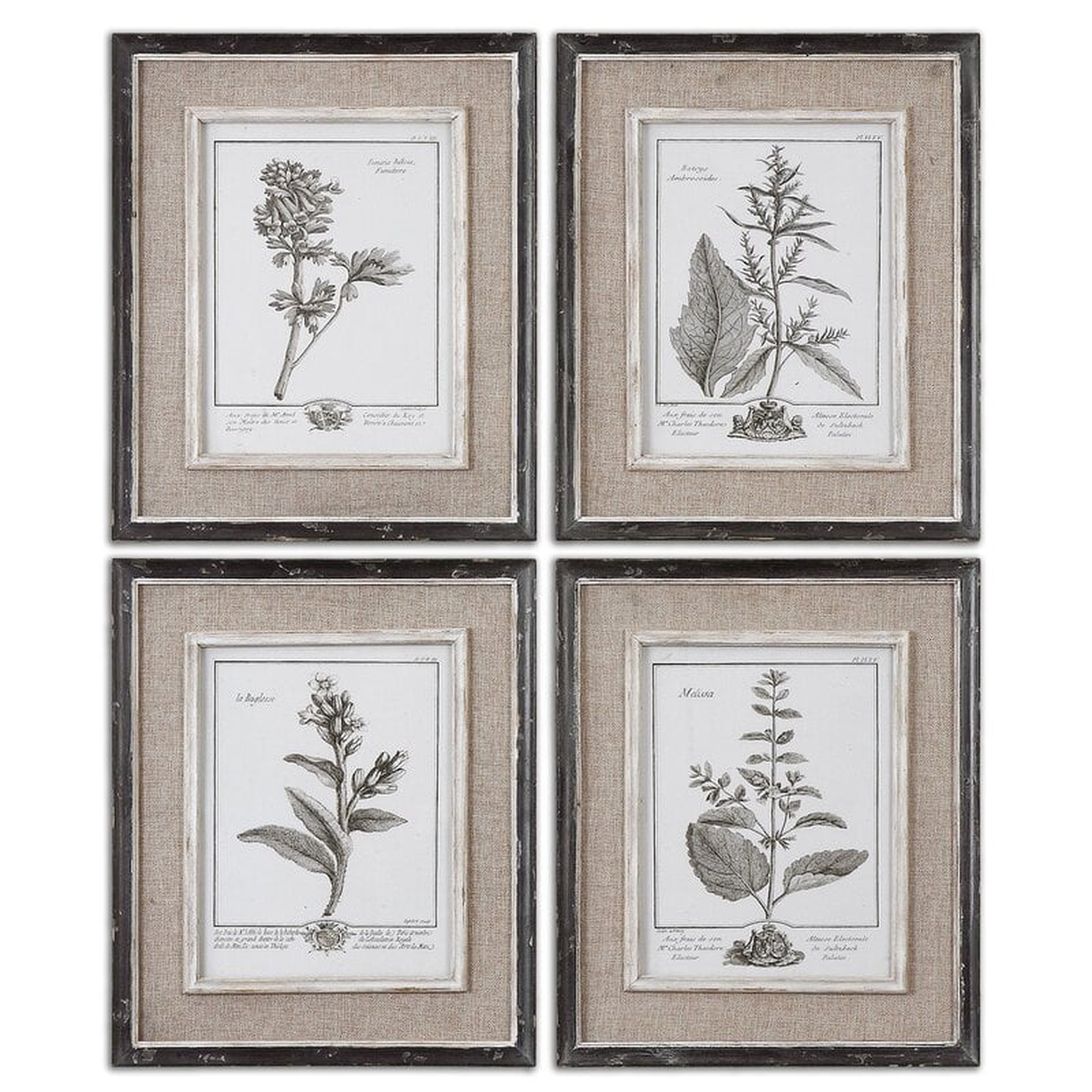 'Ladouceur' by Grace Feyock - 4 Piece Picture Frame Print Set on Paper - AllModern