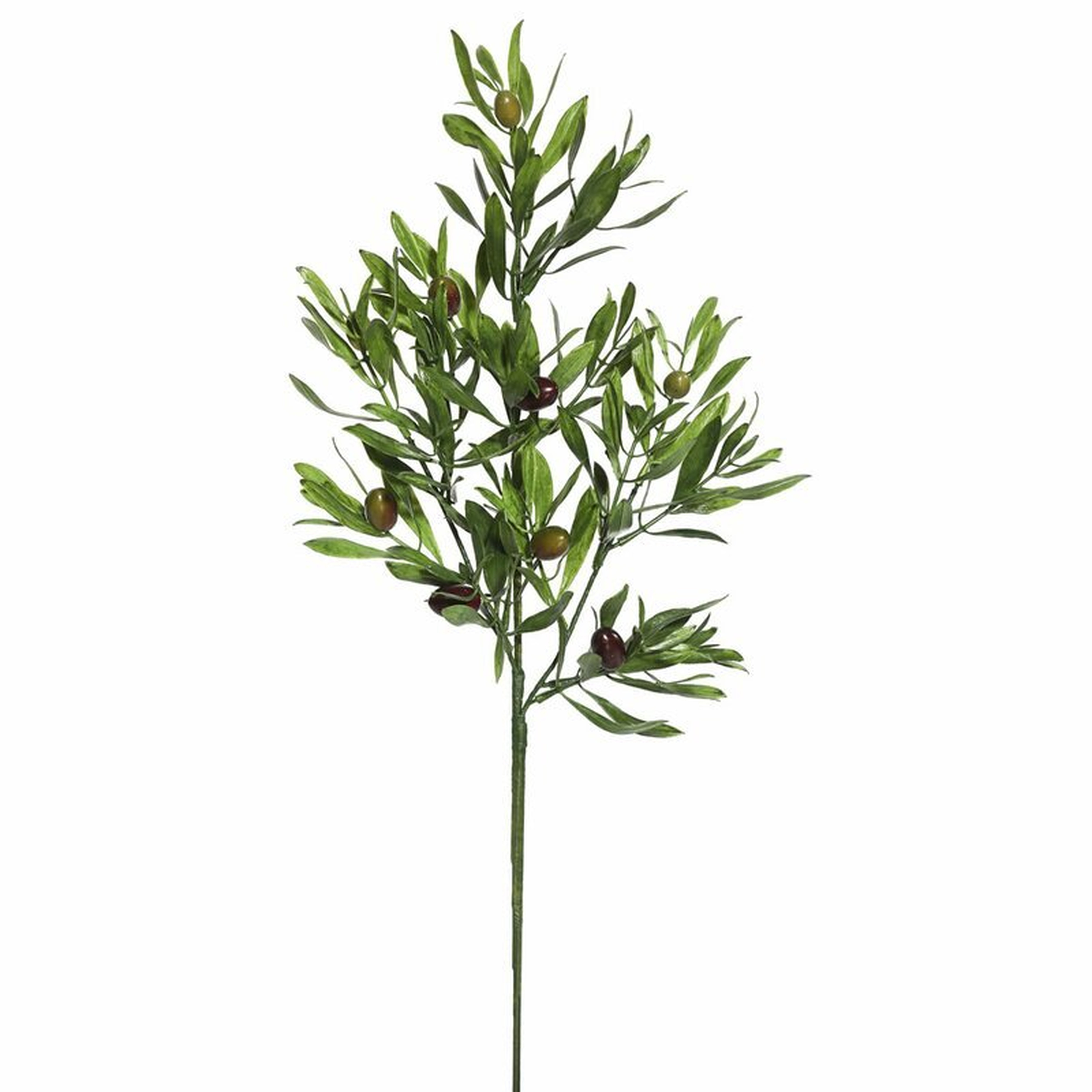 Leaf Olive Spray (Set of 3) - Wayfair