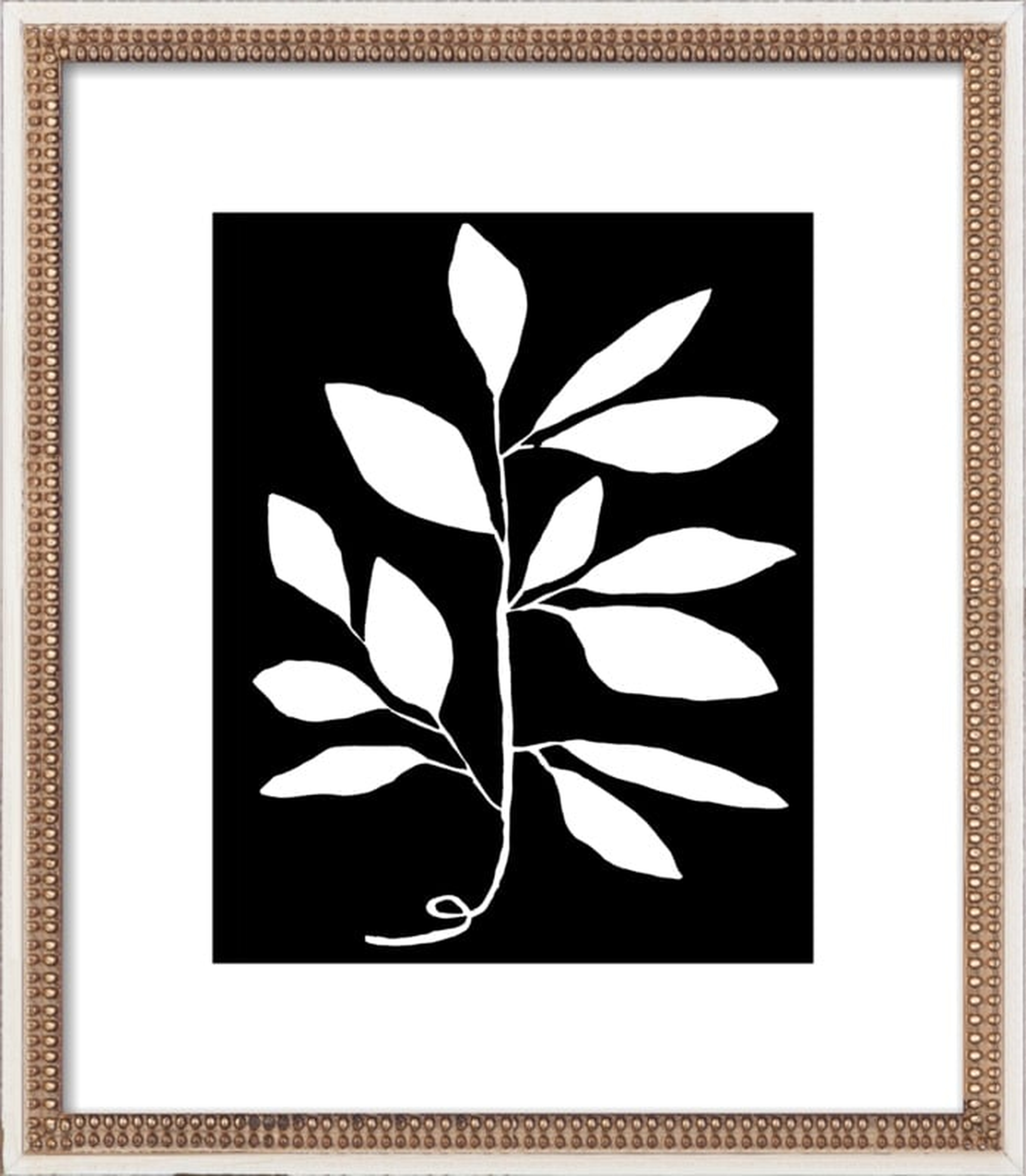 Branch Framed Artwork, Print, Distressed Cream Frame, 10" x 12" (16x18 Framed) - Artfully Walls