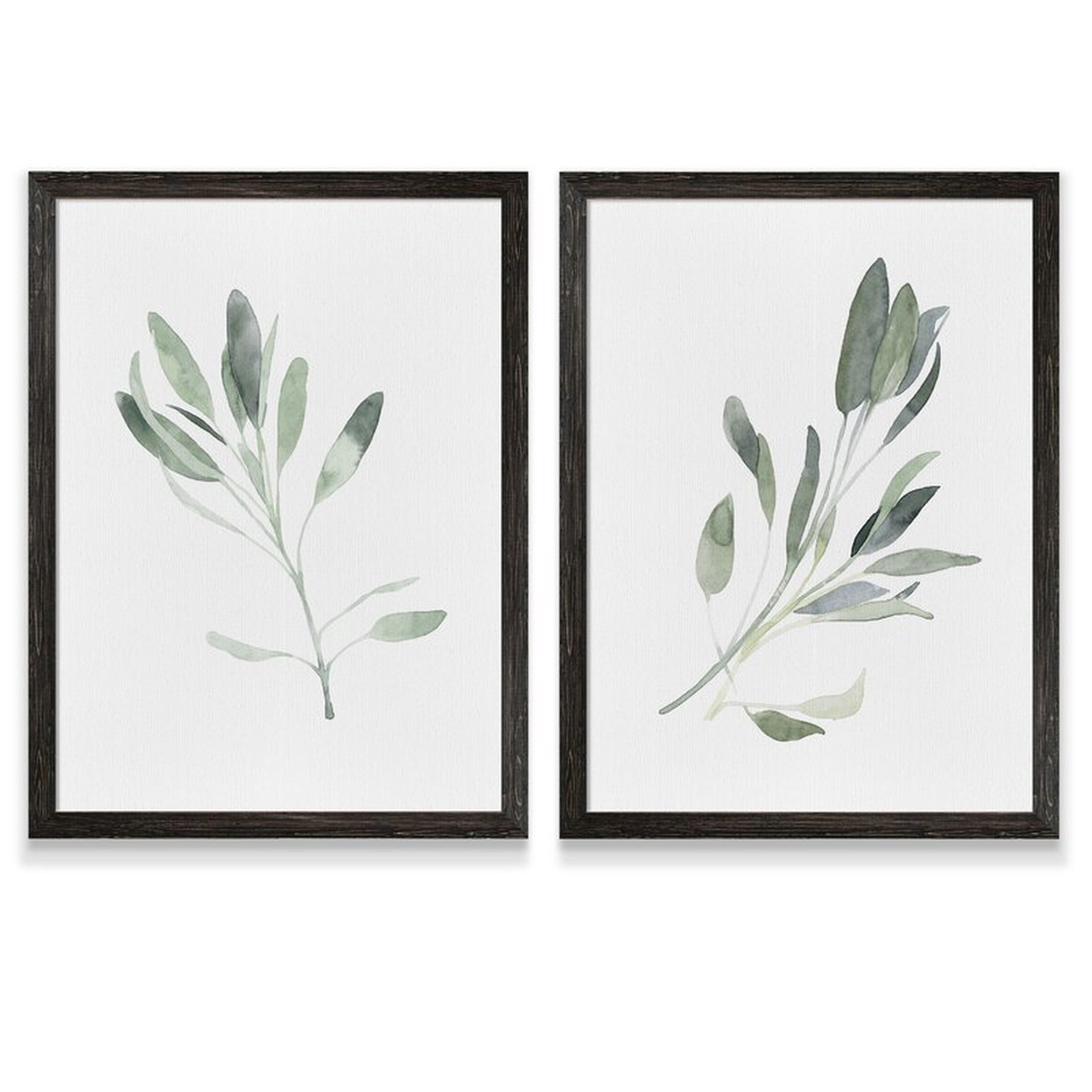 Simple Sage I by Vincent Van Gogh-2 Piece Picture Frame Painting, Set of 2 - Wayfair