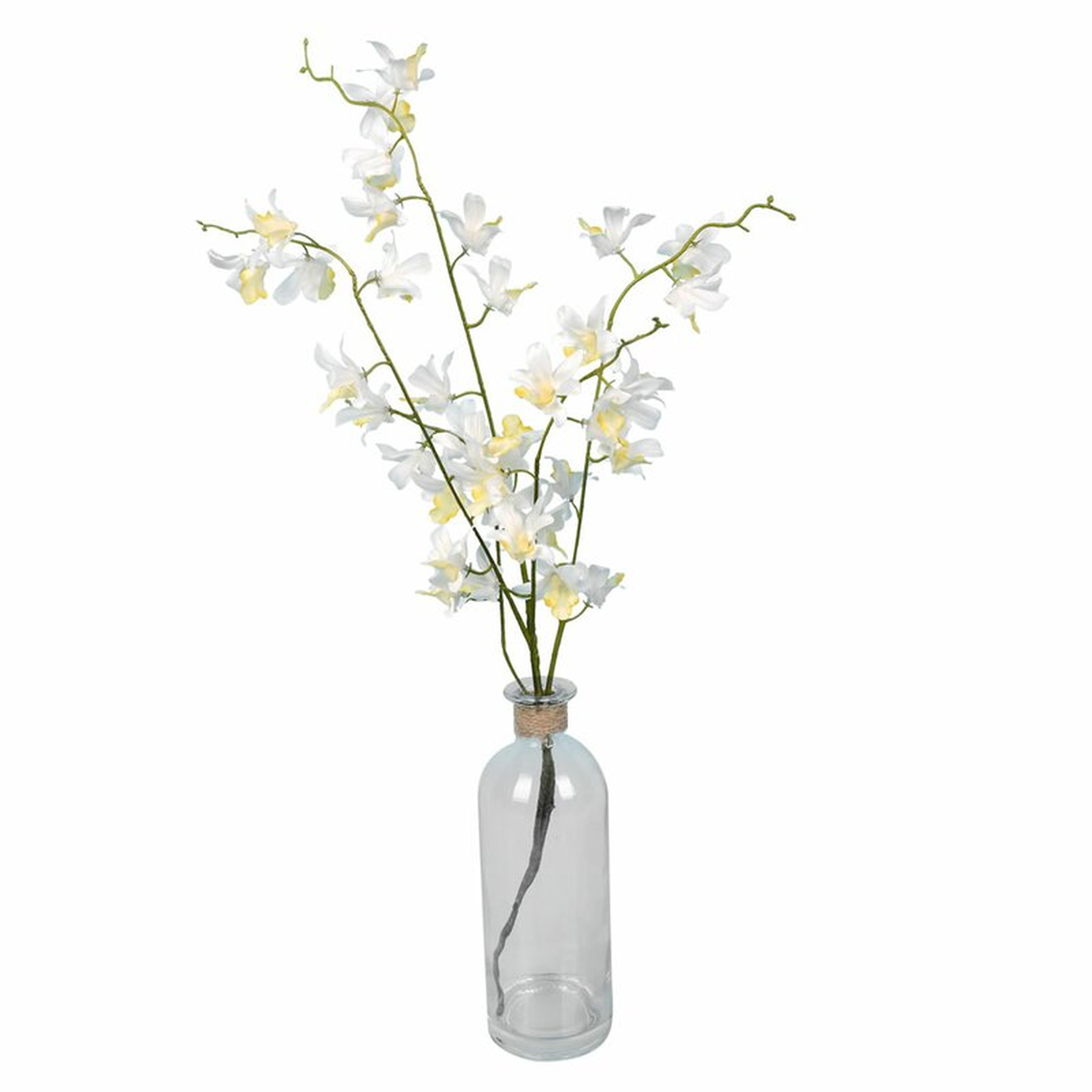Orchids Floral Arrangements and Centerpieces in Vase - Wayfair