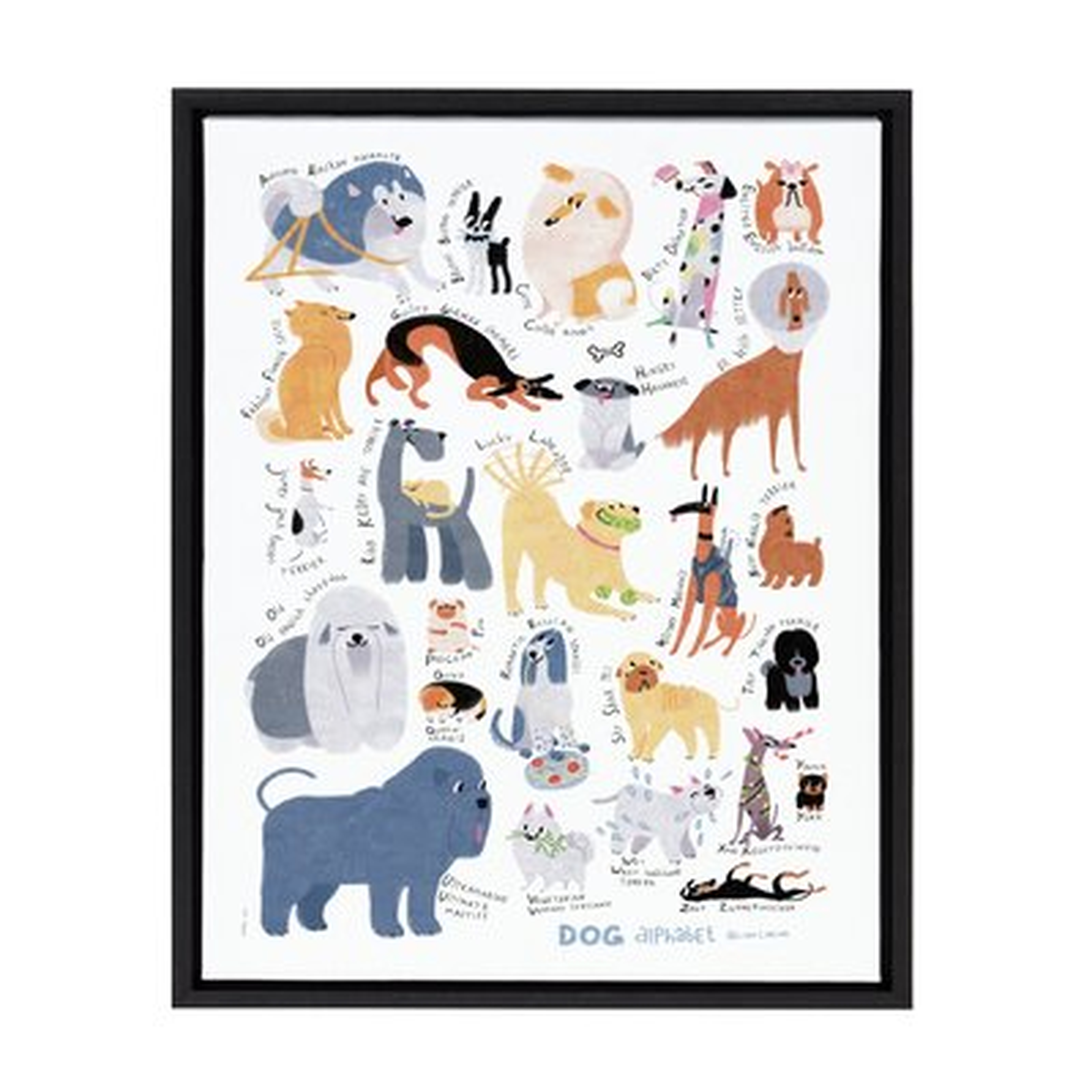 'Dog Alphabet' Framed Graphic Art Print on Canvas - Wayfair