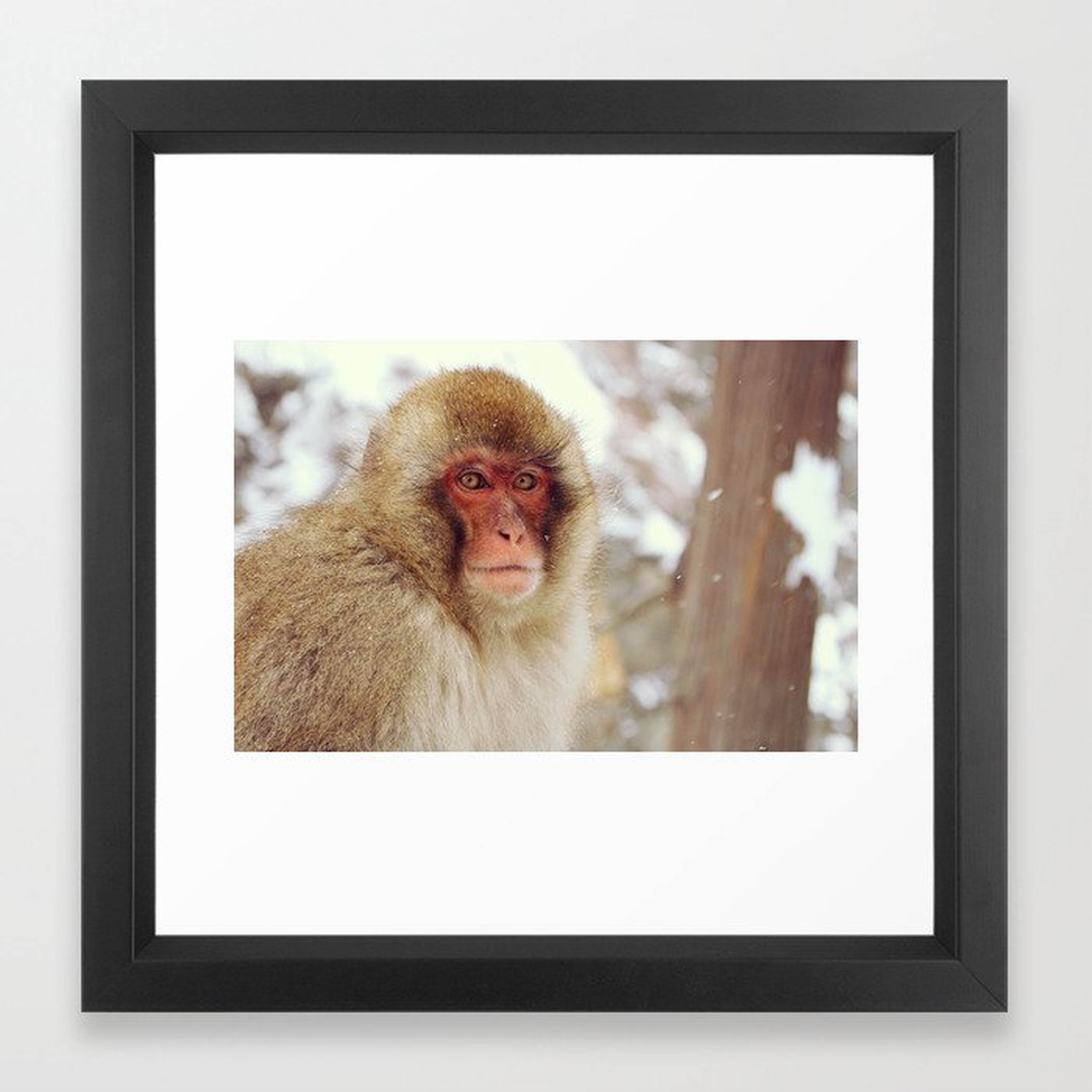 Standing guard - Japanese Snow Monkey Framed Art Print - Society6