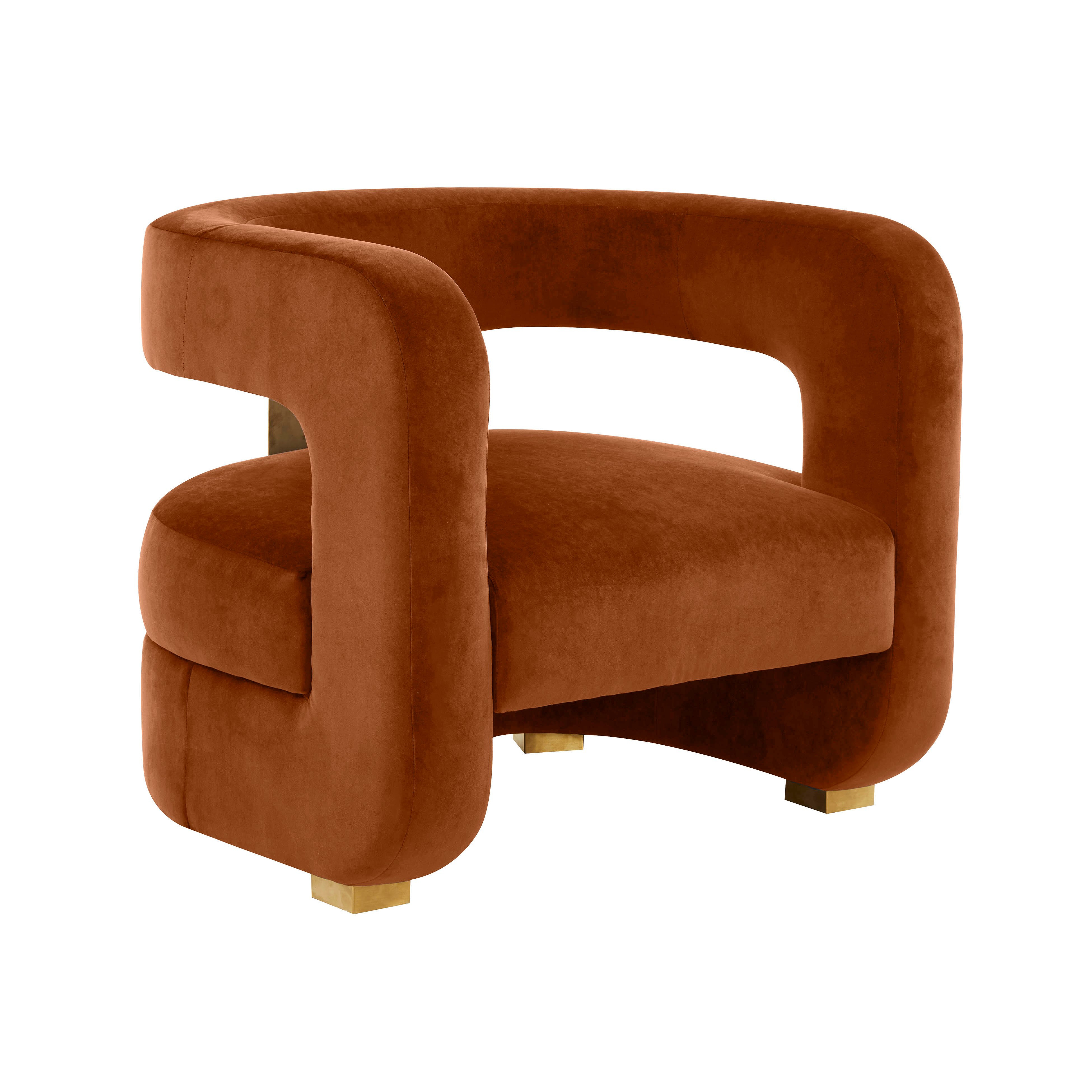 Ayanna Burnt Sienna Velvet Accent Chair - TOV FURNITURE