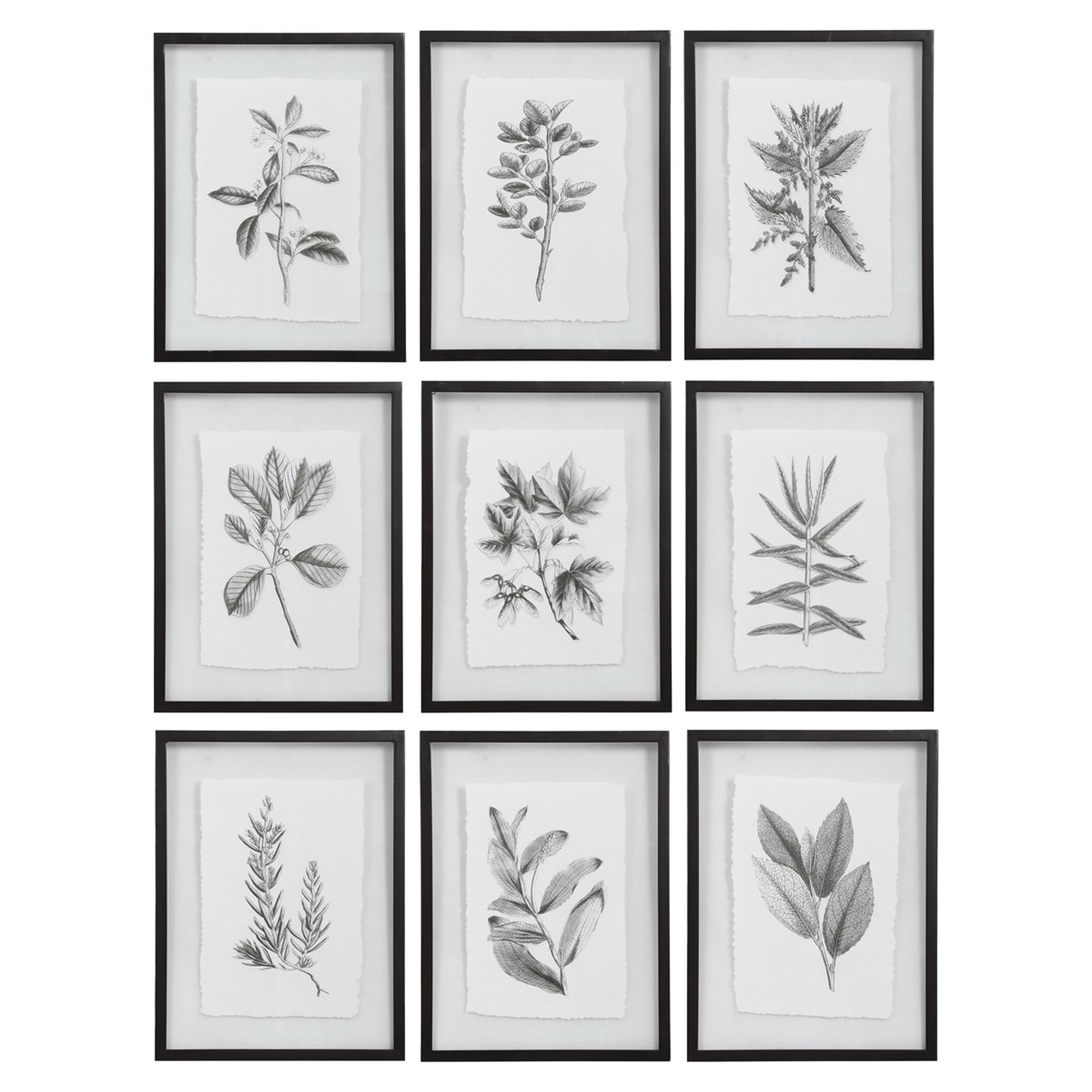 Farmhouse Florals Framed Prints, Set of 9 - Hudsonhill Foundry