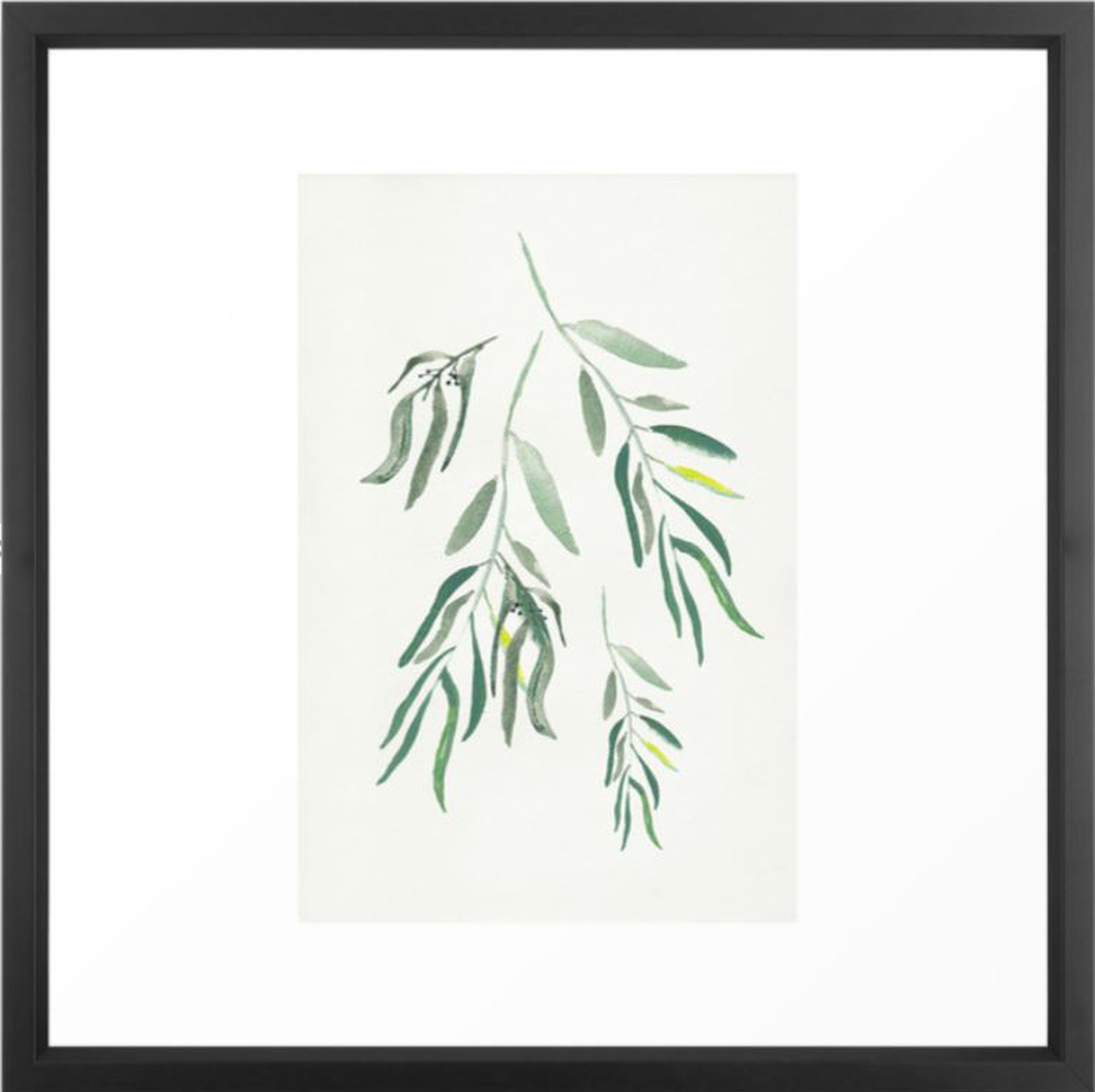 Eucalyptus Branches II Framed Art Print - Society6