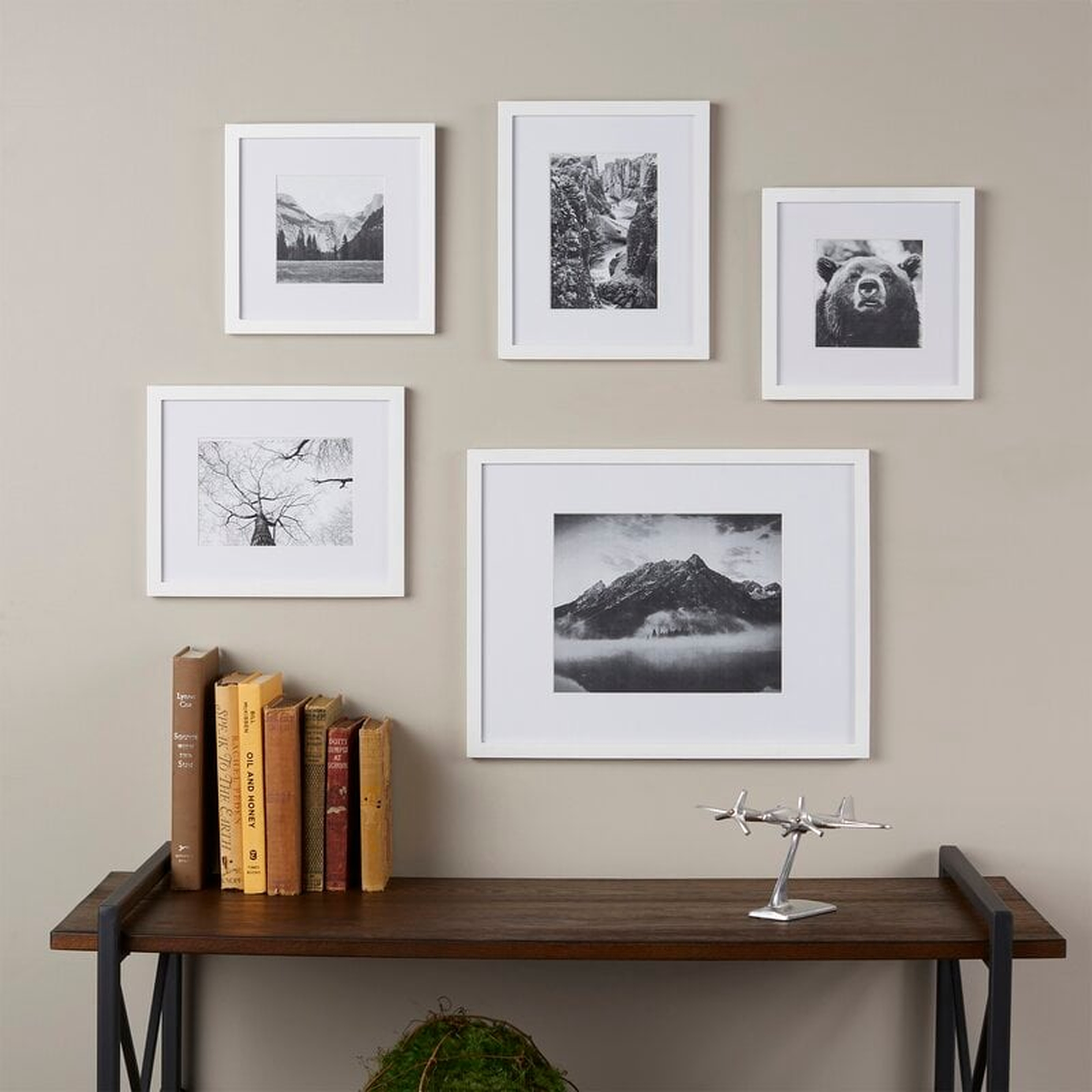 5 Piece Picture Frame Set (Set of 5) - Wayfair