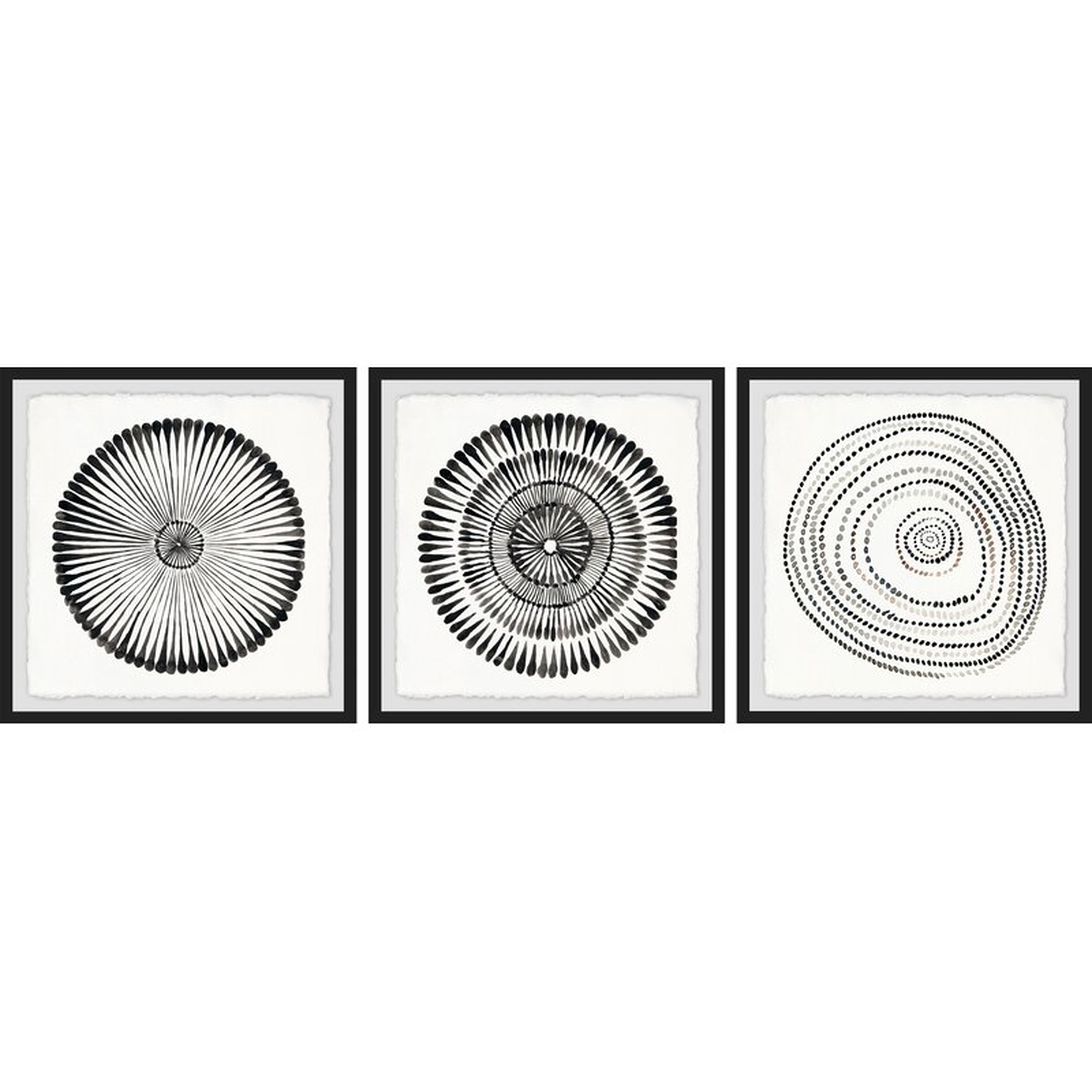 Circle Bloom Triptych - 3 Piece Picture Frame Print Set on Paper  Circle Bloom Triptych - 3 Piece Picture Frame Print Set on Paper  Circle Bloom Triptych - 3 Piece Picture Frame Print Set on Paper  Circle Bloom Triptych - 3 Piece Pictu - Wayfair