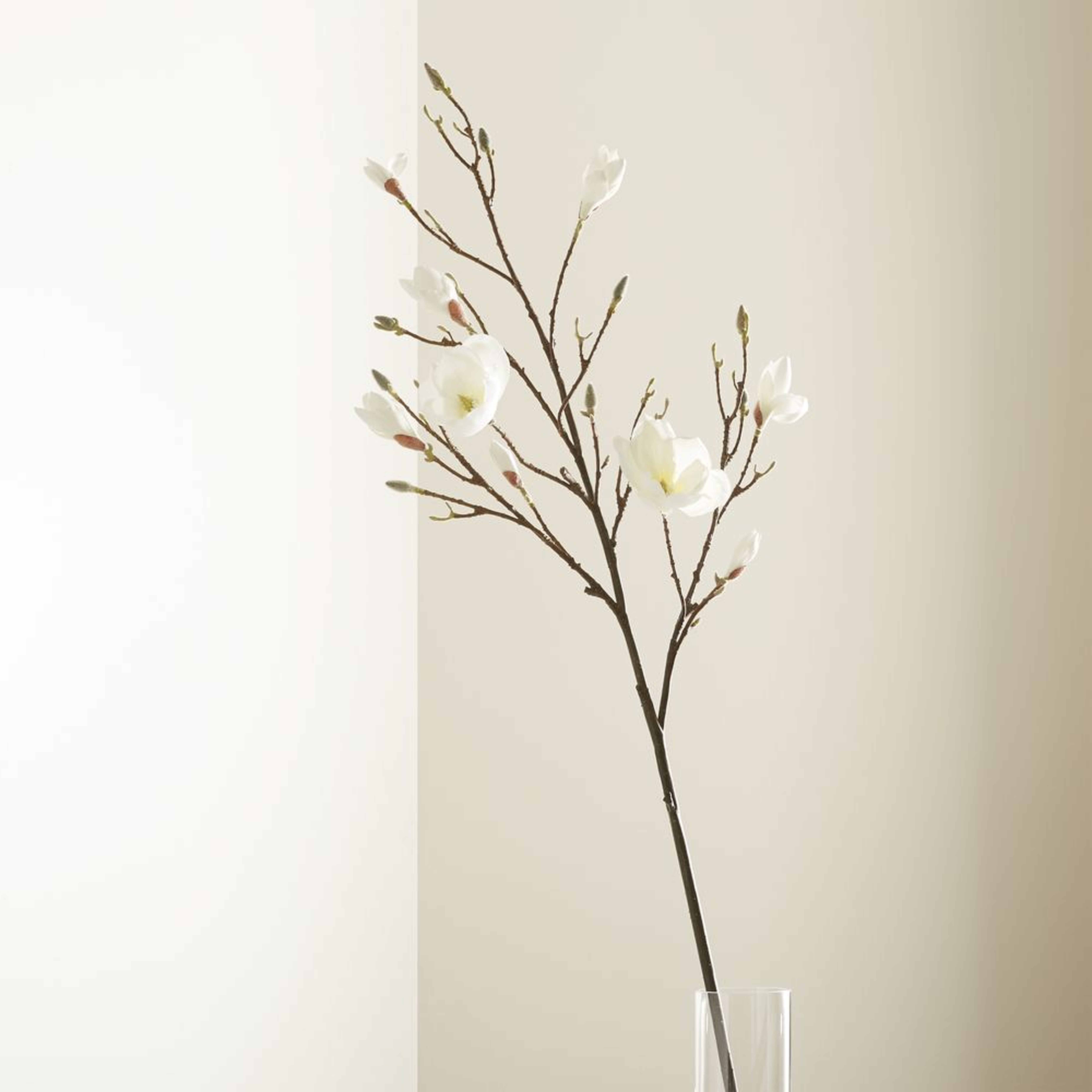 Magnolia Flower Branch - Crate and Barrel