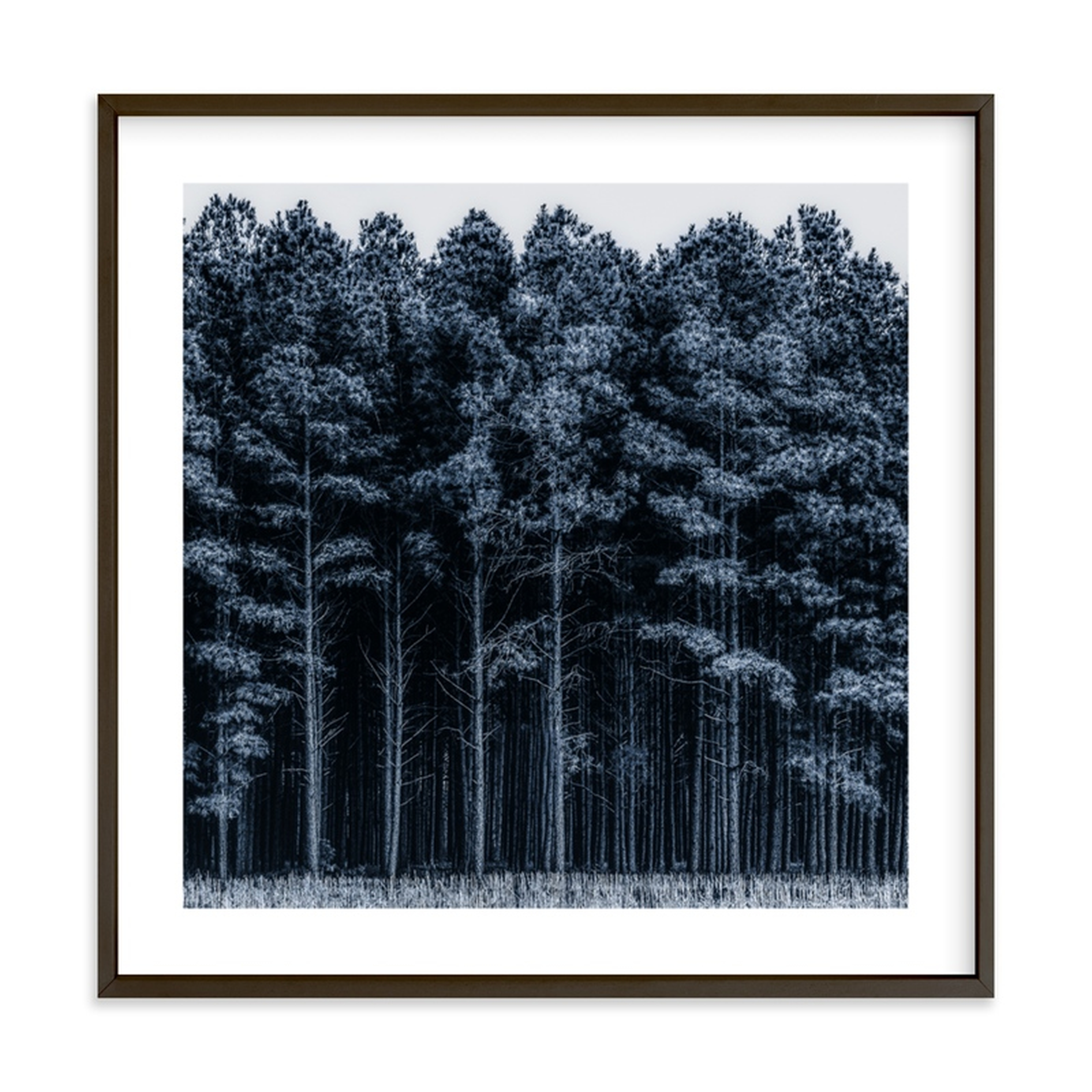 through the trees - FRAME SIZE  24.5" X 24.5" - Cool/Rich Black frame/White Border - Minted