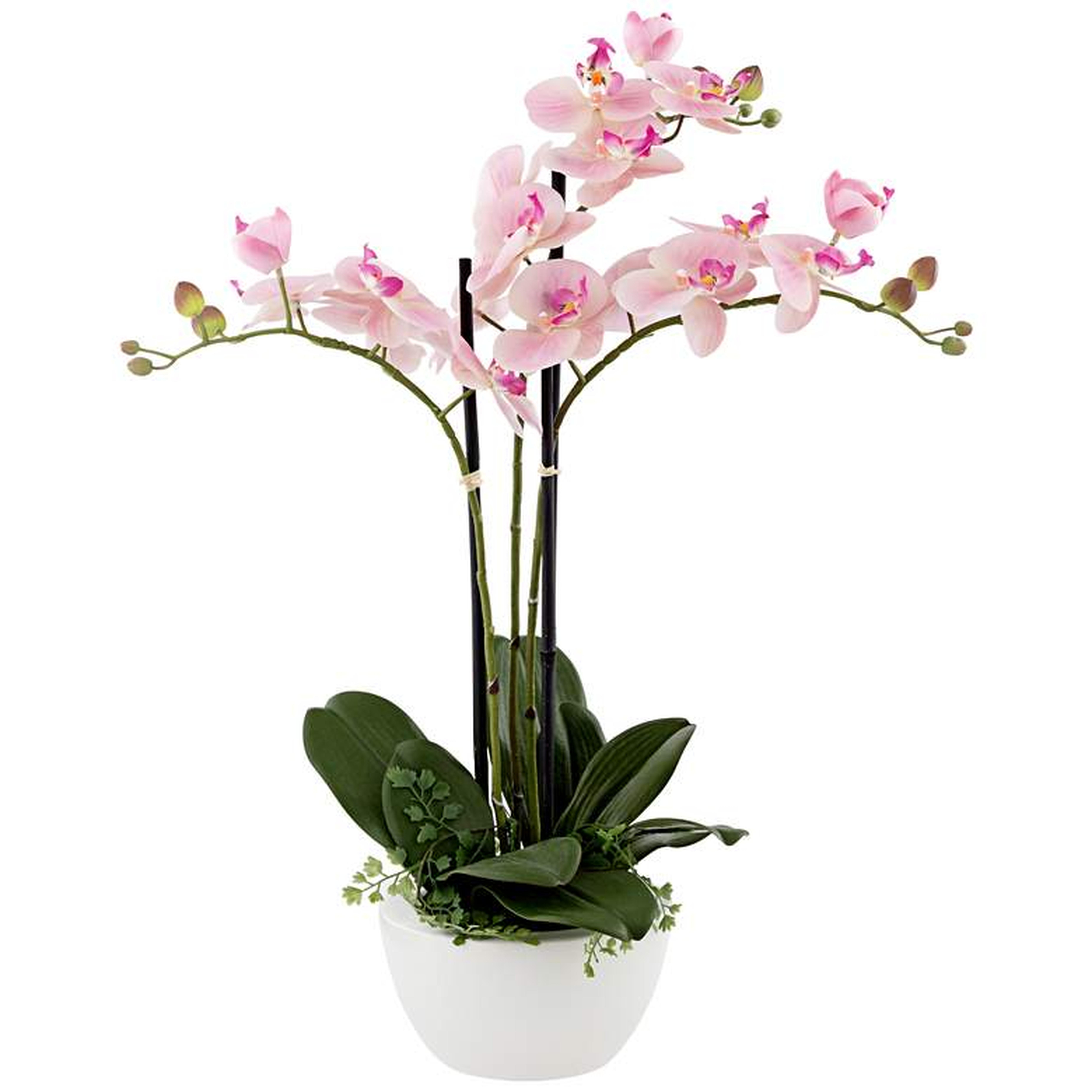 Real Touch Pink Orchid 22" High Faux Flowers in White Pot - Lamps Plus