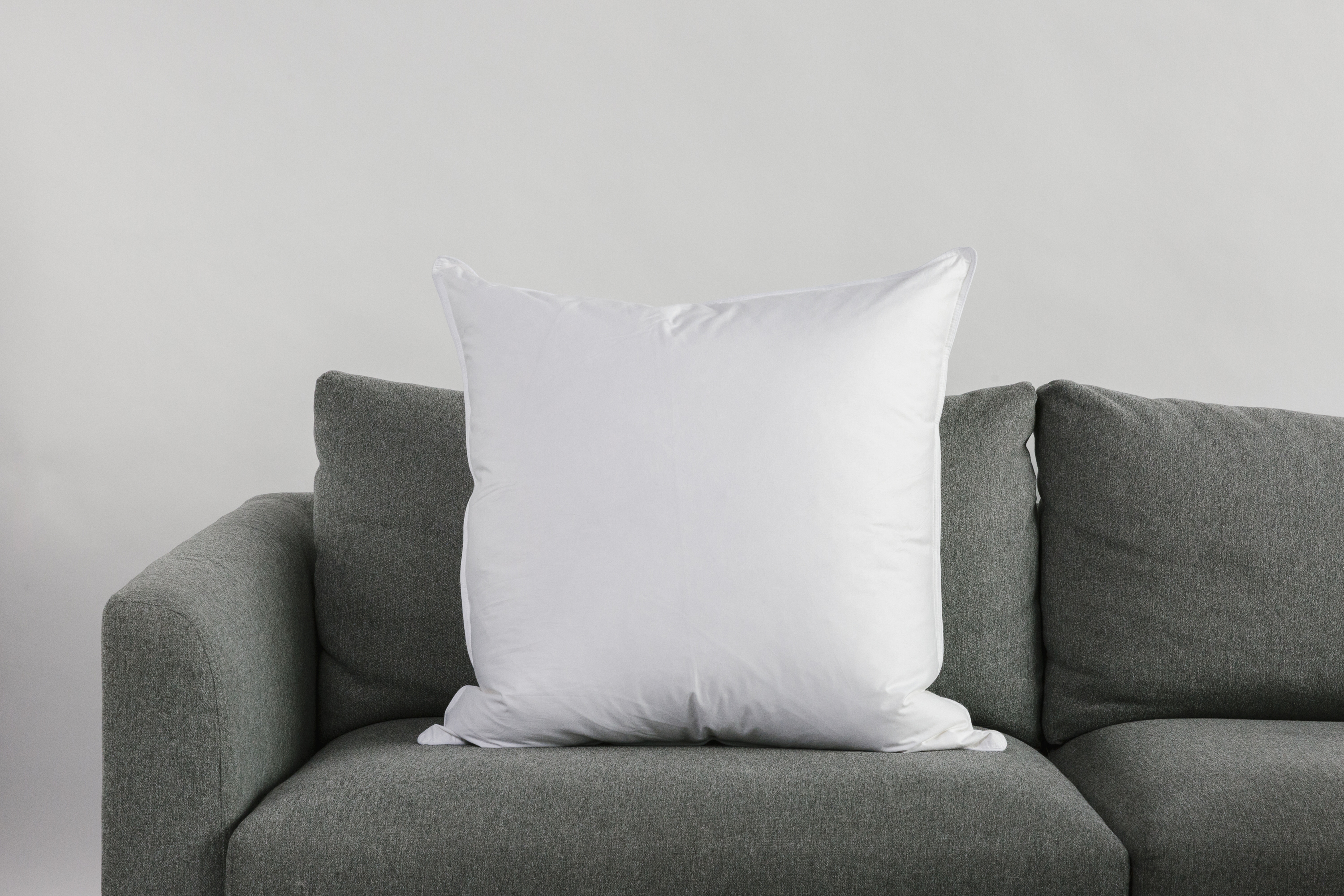 22" x 22" White Duck Feather Decorative Pillow Insert - Havenly Essentials
