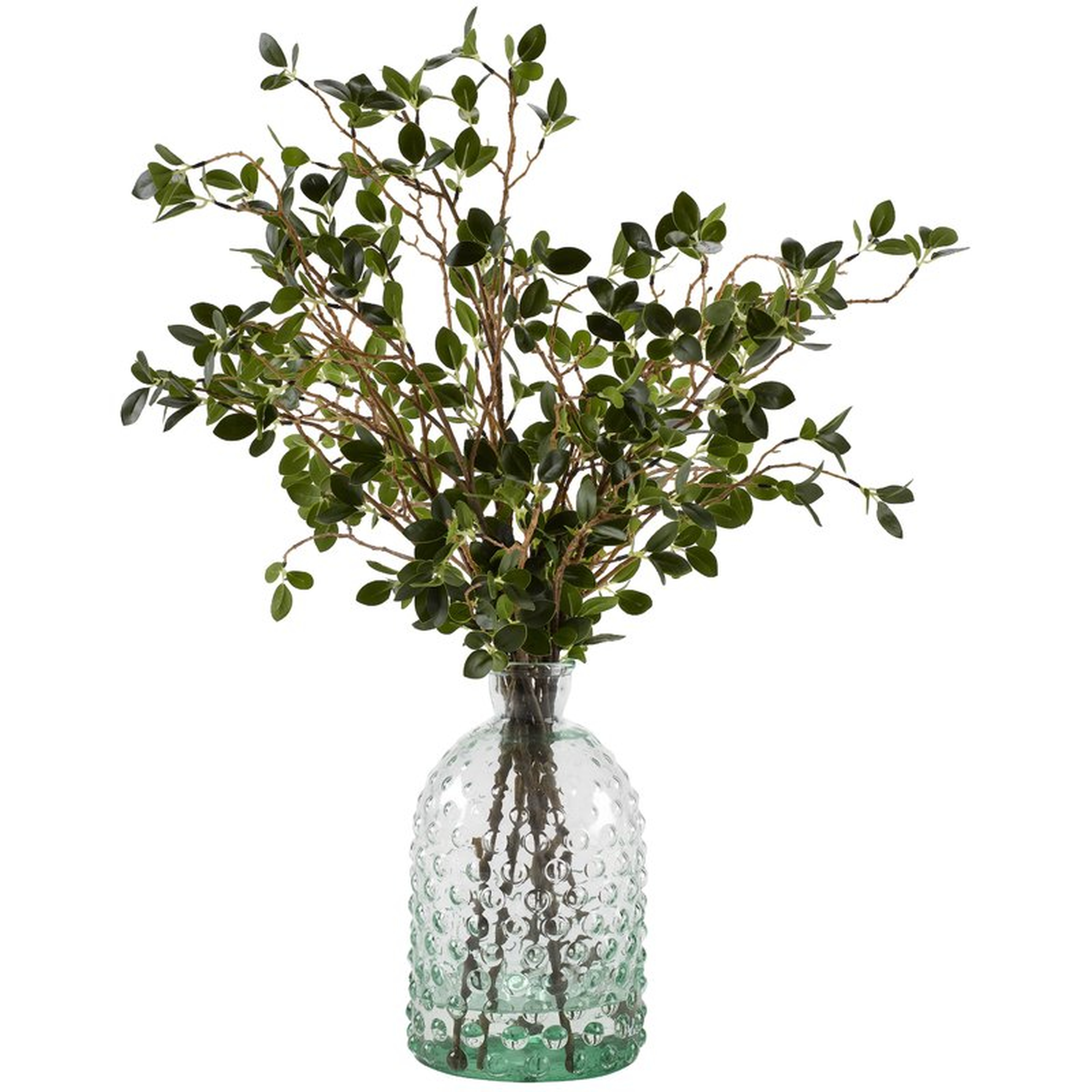 Bonsai Ficus Branches Floral Arrangement - Wayfair