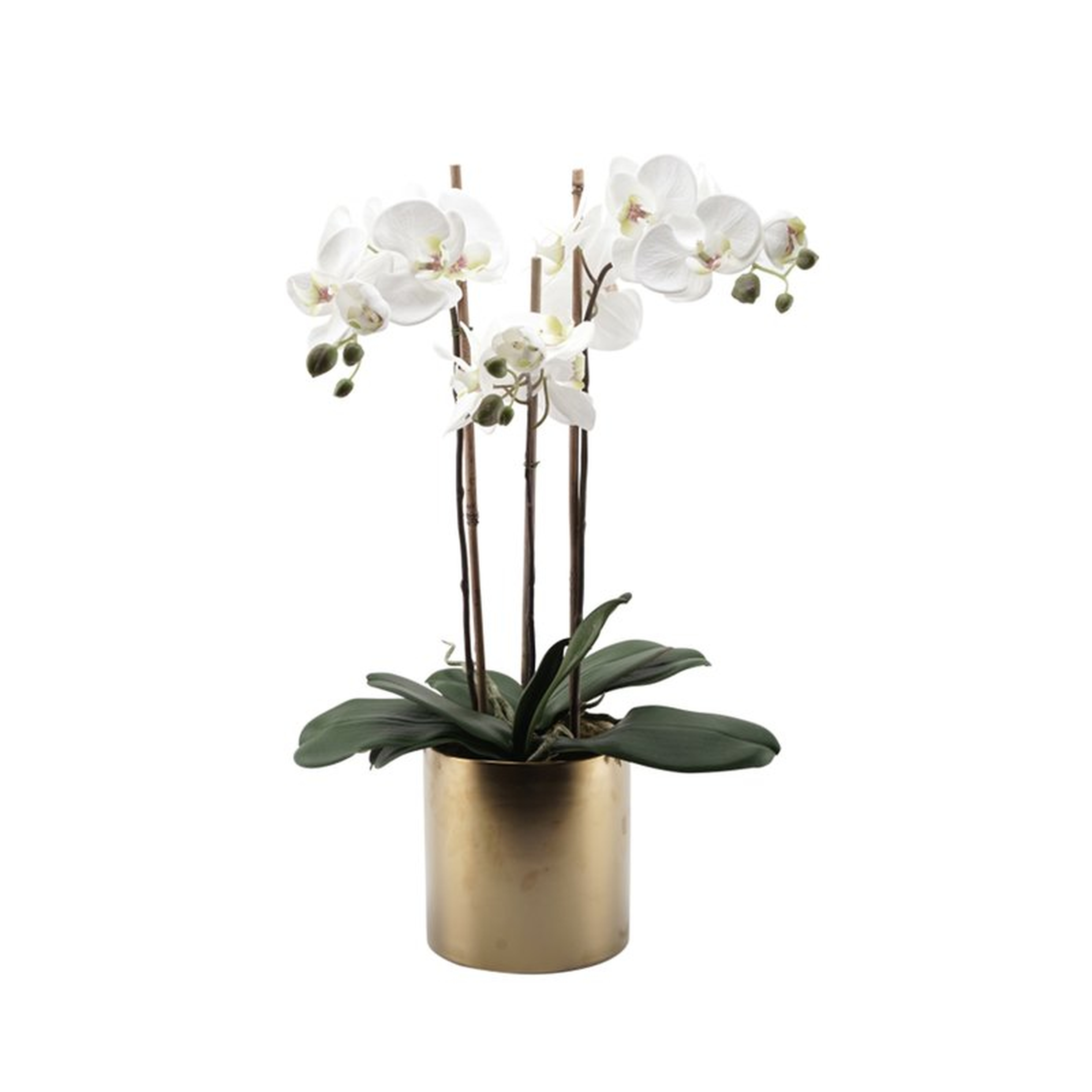 Faux Triple Phalaenopsis Orchid Floral Arrangement in Ceramic Vase - Wayfair