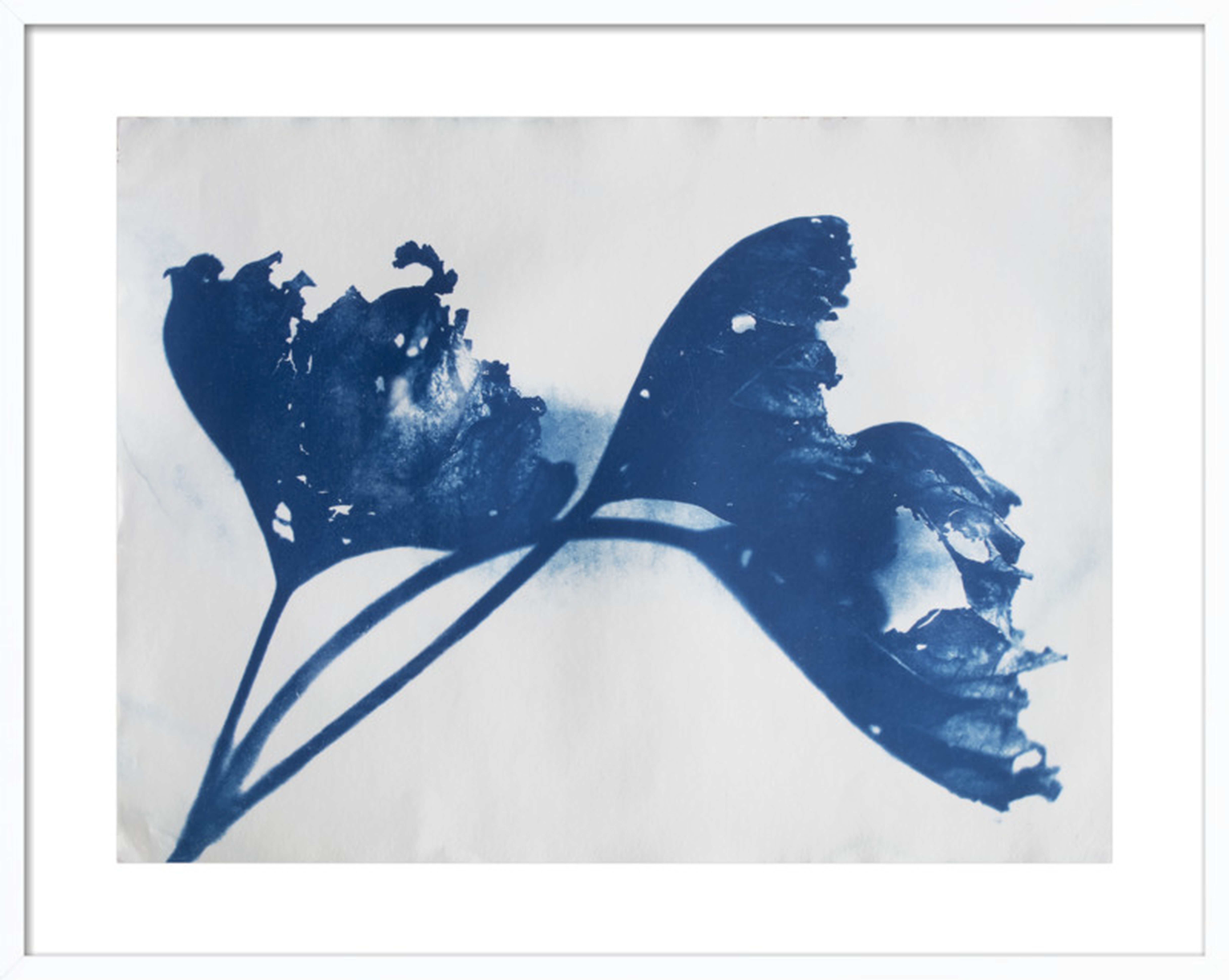 Leaf Wave by Rose Brancovich, 39 x 31, White Wood Frame - Artfully Walls