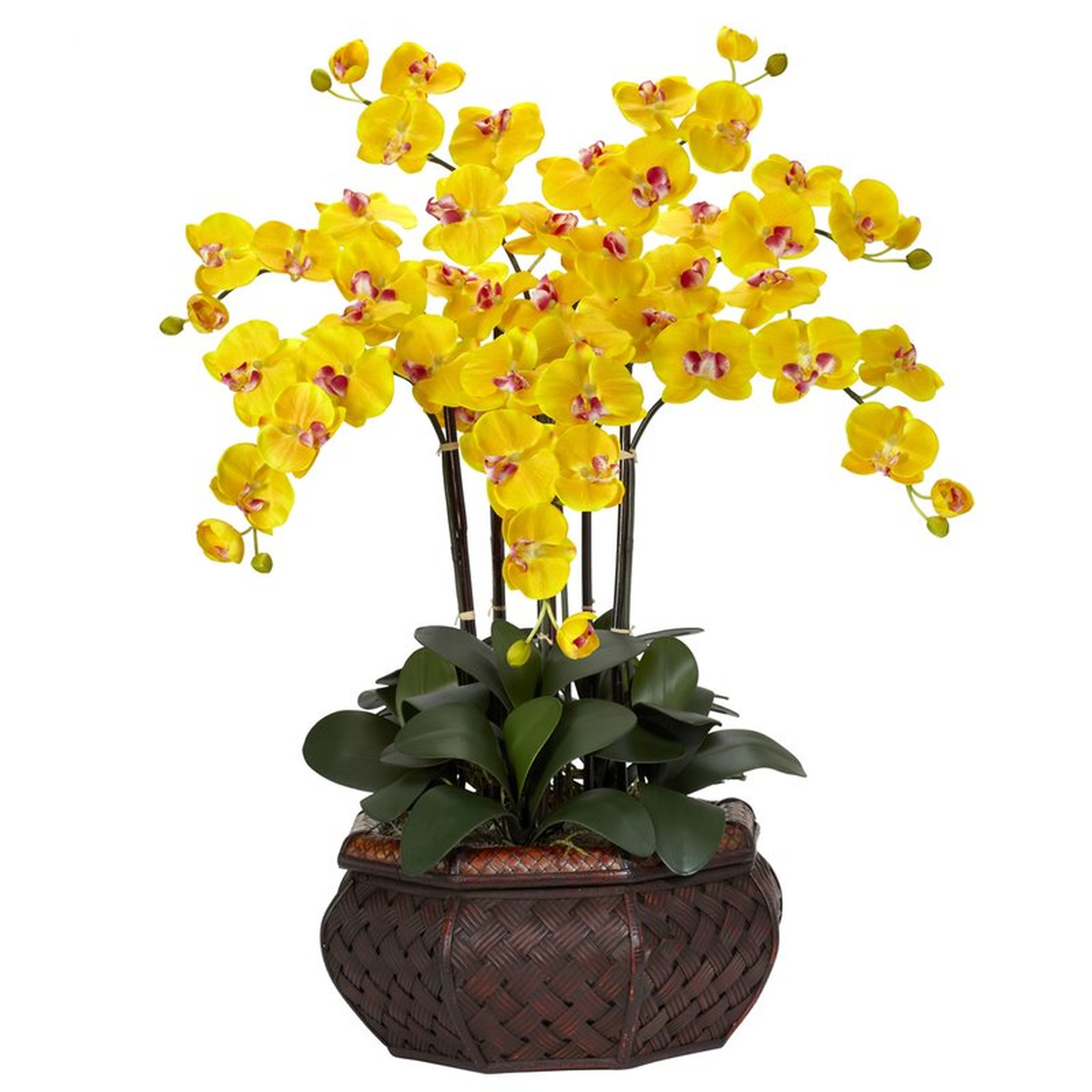 Large Phalaenopsis Silk Flower Arrangement - Wayfair