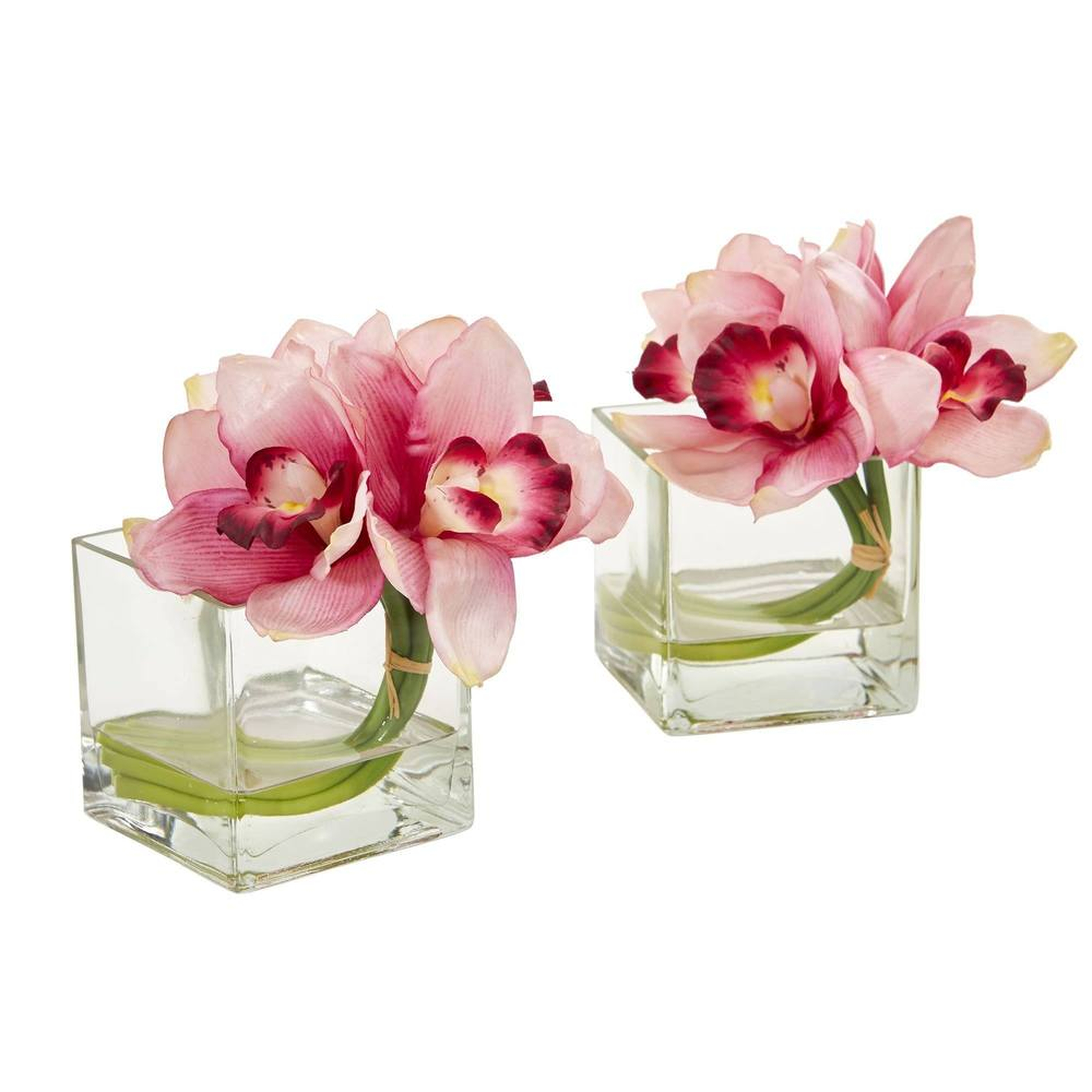 Cymbidium Orchid Artificial Arrangement in Glass Vase (Set of 2) - Nearly Natural